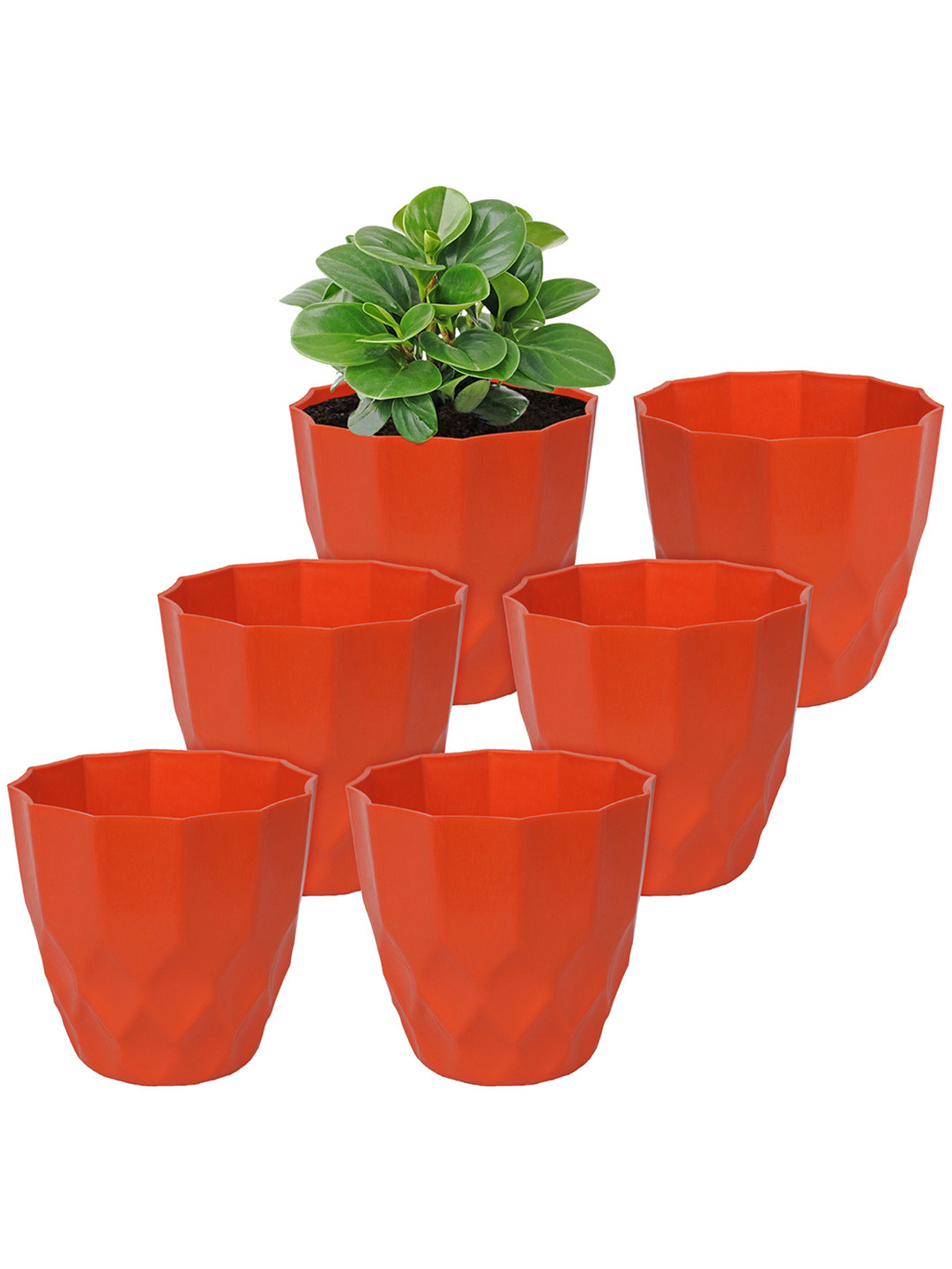 Kuber Industries Orange-Colored Textured Planter