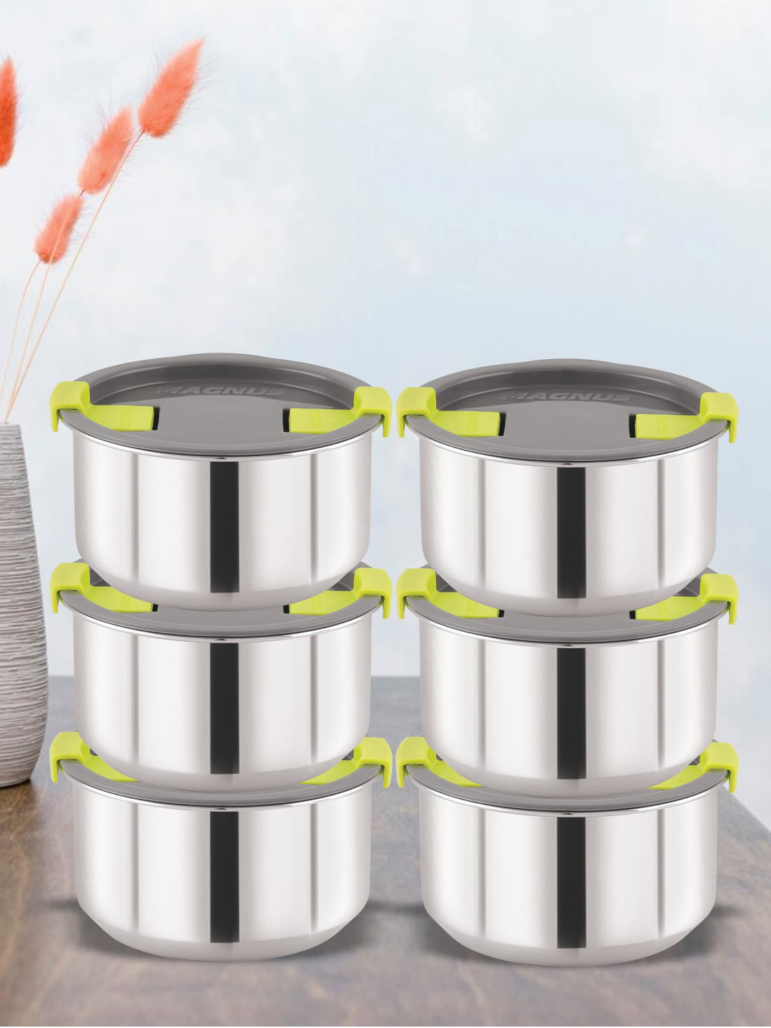 MAGNUS Grey & Silver-Toned 6 Pieces Stainless Steel Steam Lock & Airtight Lunch Boxes