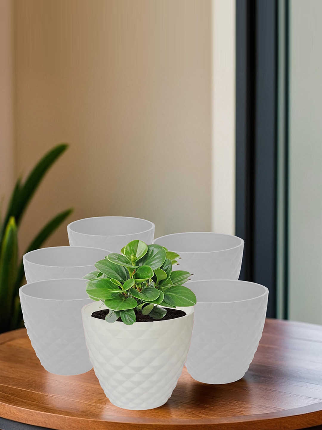 Kuber Industries 6 Pieces White Textured Flower Pots