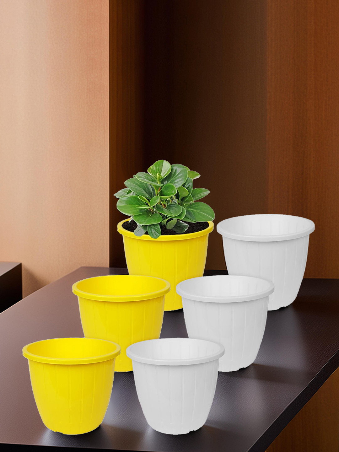 Kuber Industries White & Yellow 6 Pcs Textured Planters Pots