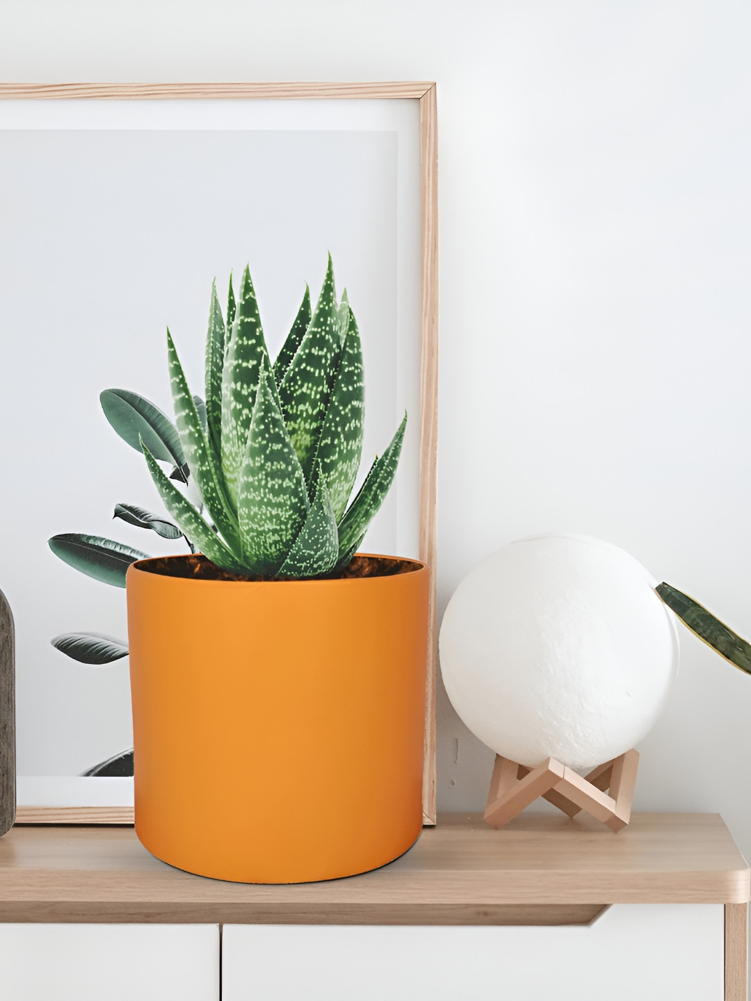 LASAKI Orange Cylindrical Ceramic Planters