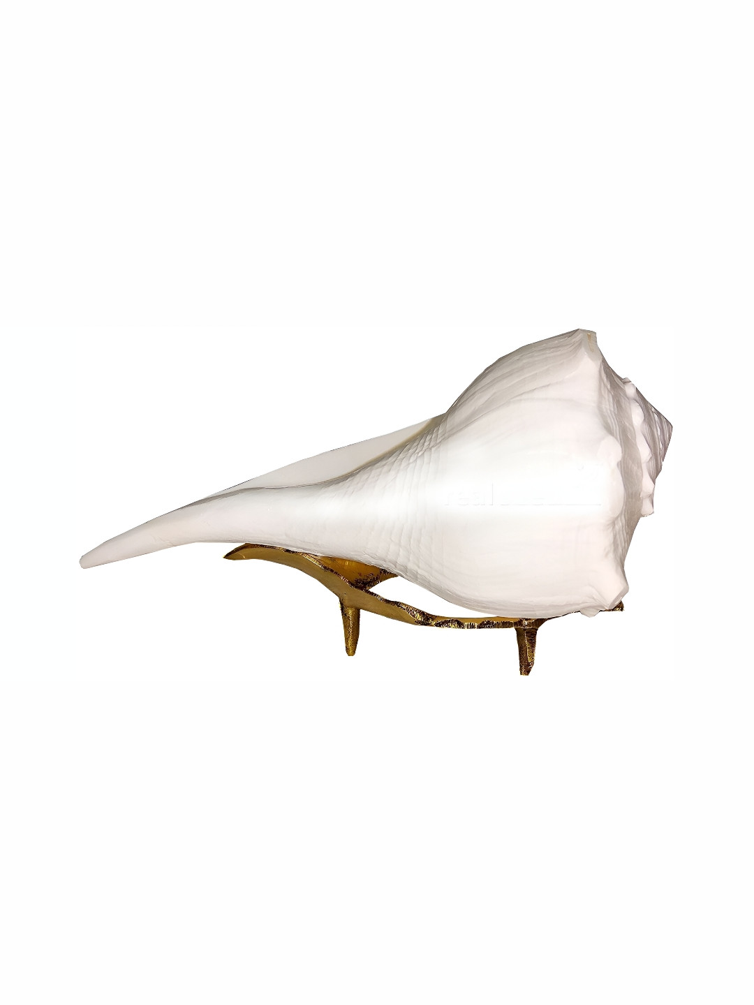 Navyaksh Dakshinavarti Shankh with Stand White Polyresin Glossy Living Room Small Showpiece - 3.1 Inches
