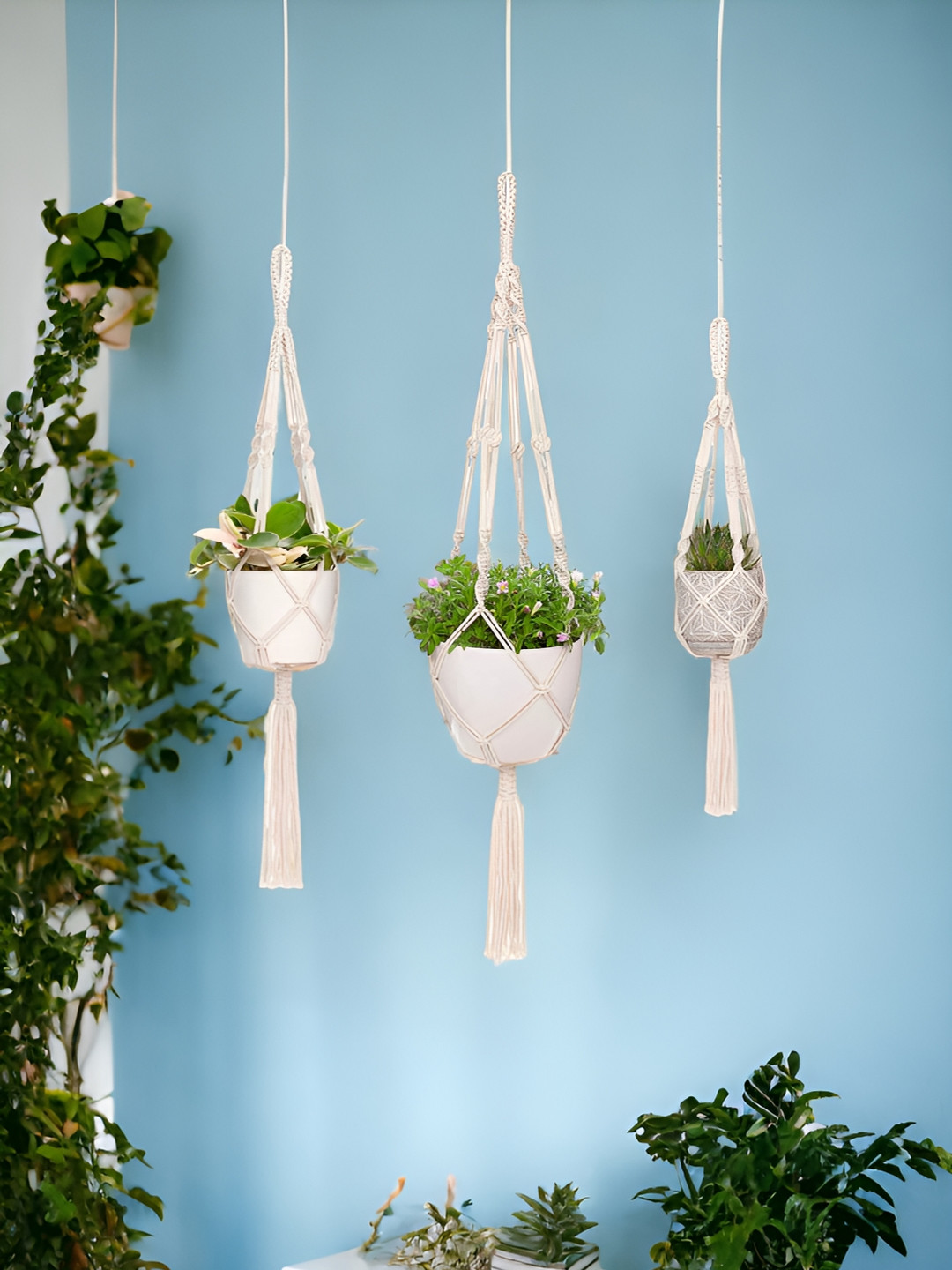 ecofynd White 3 Pieces Macrame Plant Hangers