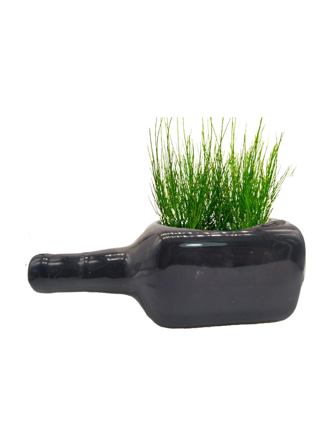 INDIA MEETS INDIA Black Bottle Shaped Planter