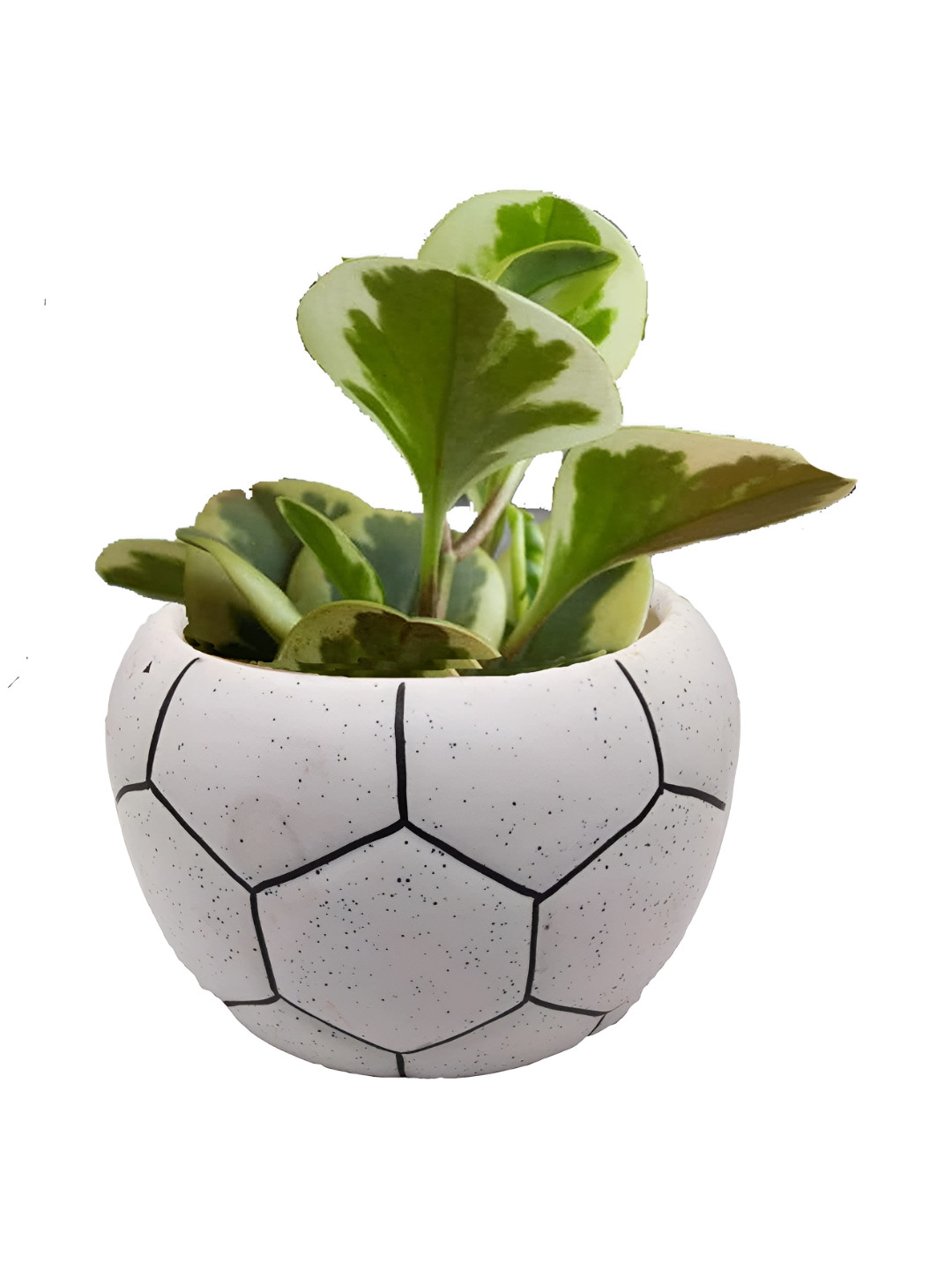 INDIA MEETS INDIA White Football Ceramic Pot Planter