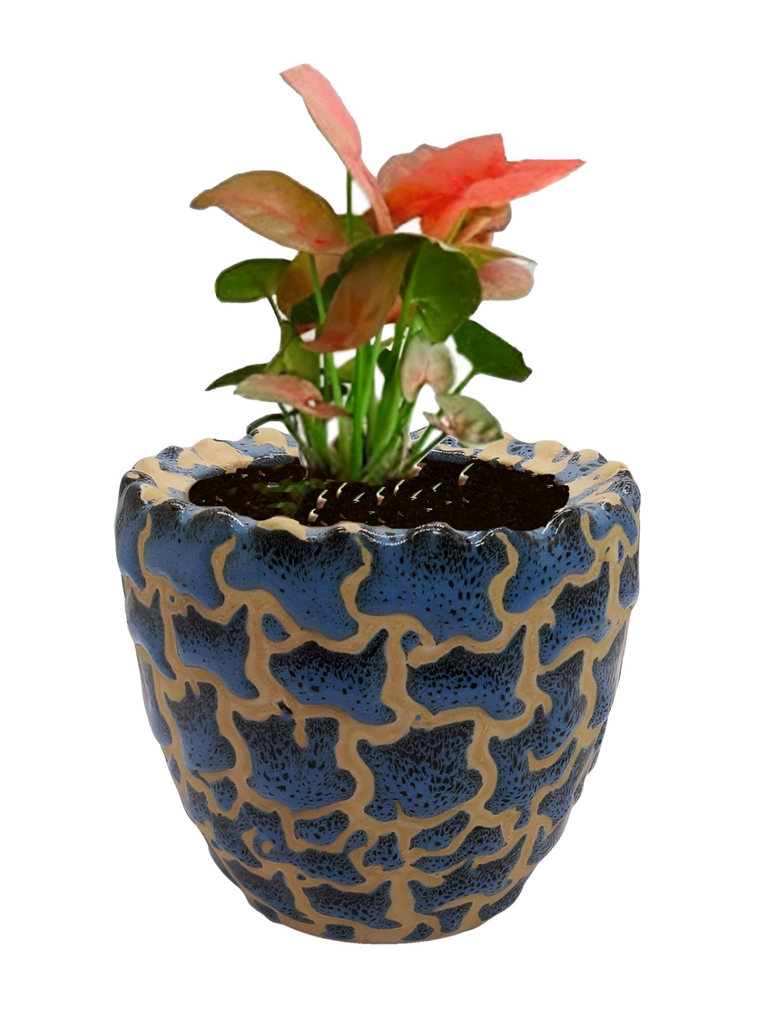 INDIA MEETS INDIA Blue & Brown Printed Cup Shaped Planter