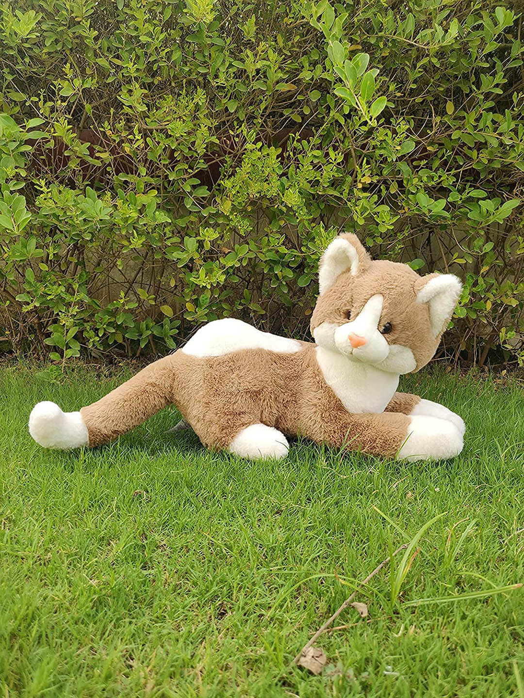BAESD Kids Non-Allergic Cute Kitty Cat Soft Toys