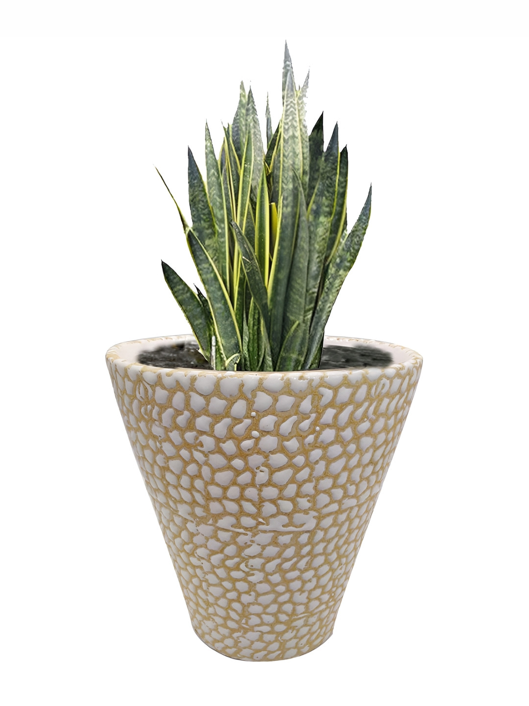 INDIA MEETS INDIA Cream Textured Ceramic Planter