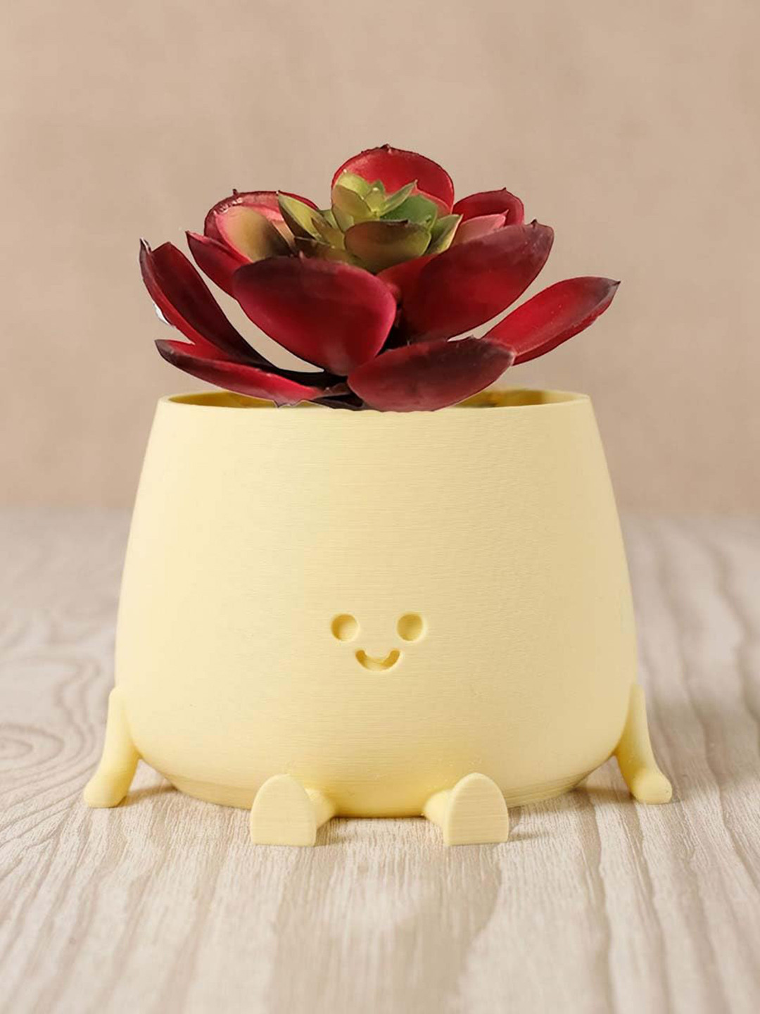 Garden Deco Red Non Hanging Succulent Artificial Plant