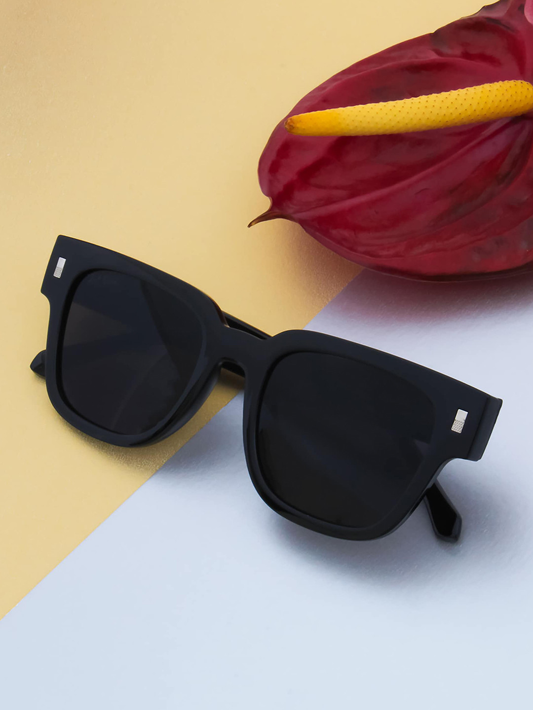 Ted Smith Unisex Black Aesthetic Wayfarer Sunglasses With UV Protected Lens