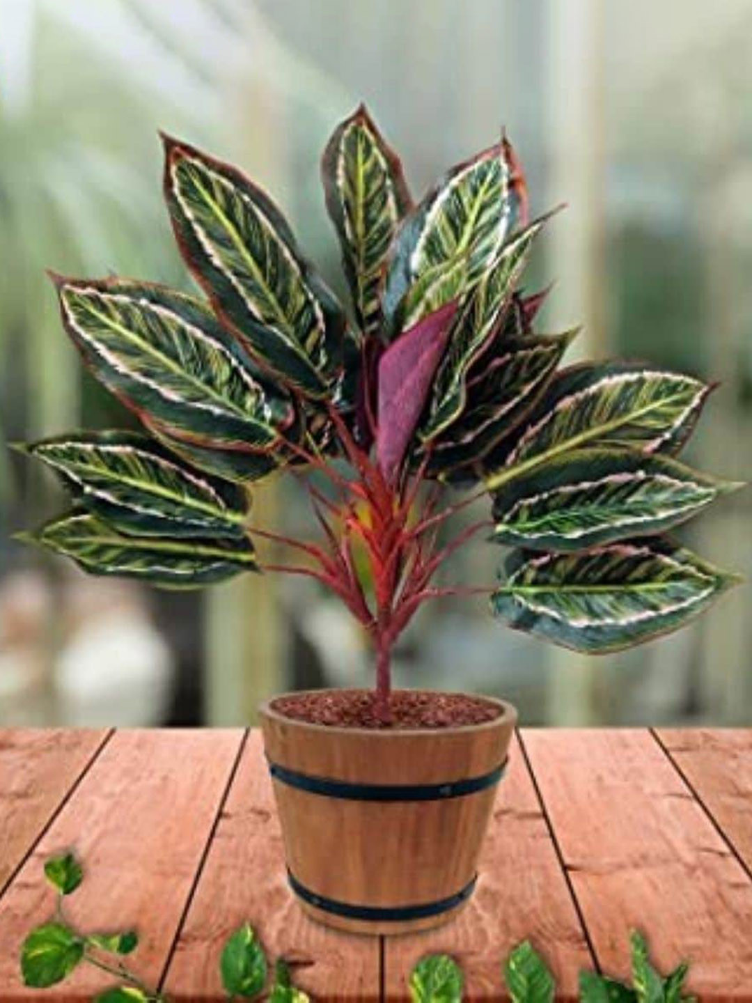 Garden Deco Green & Purple Dual Shade Artificial Plant