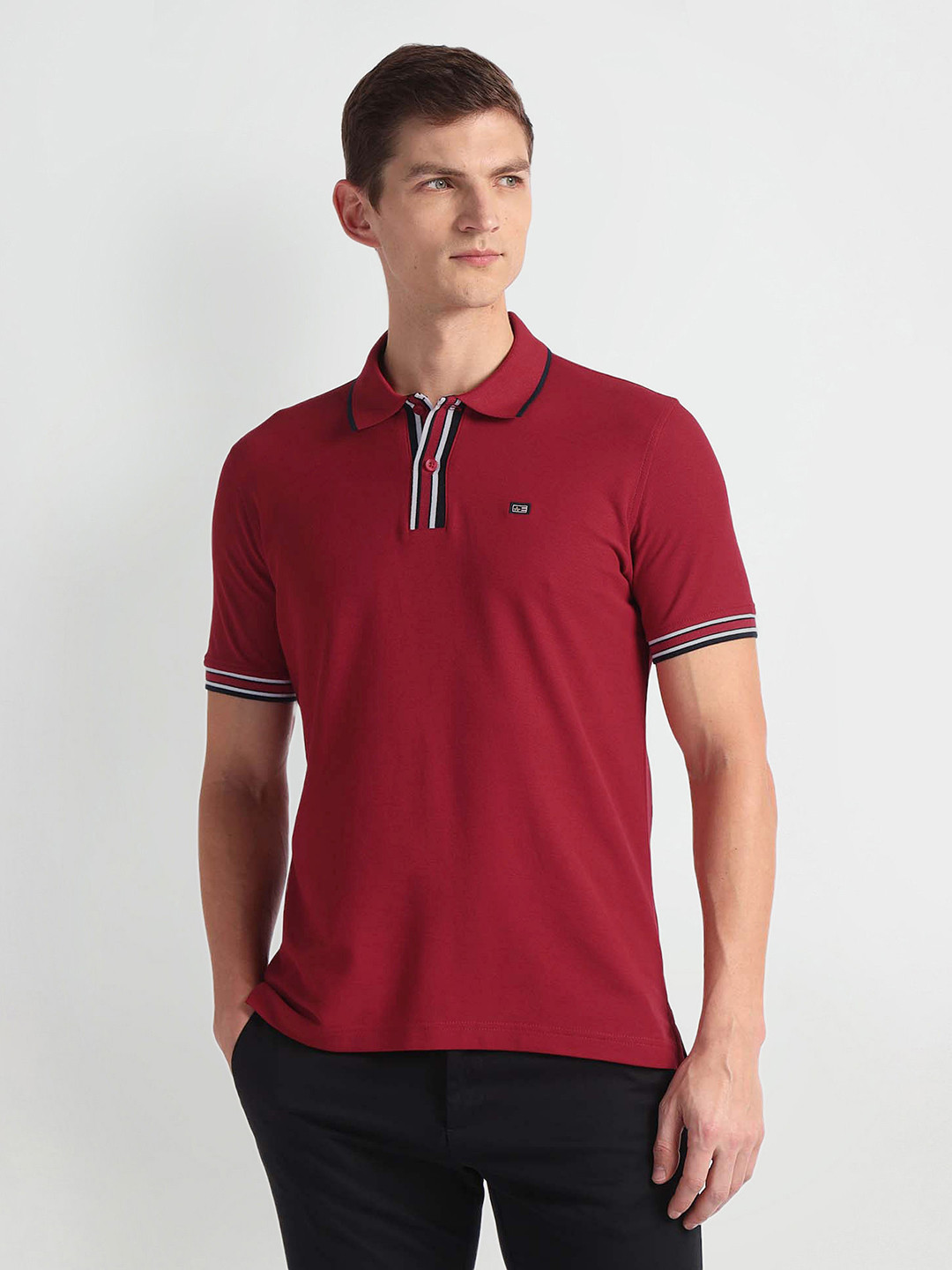 Arrow Sport Minimal stripes Polo Collar Short Sleeves Cotton Regular Fit Casual T-shirt