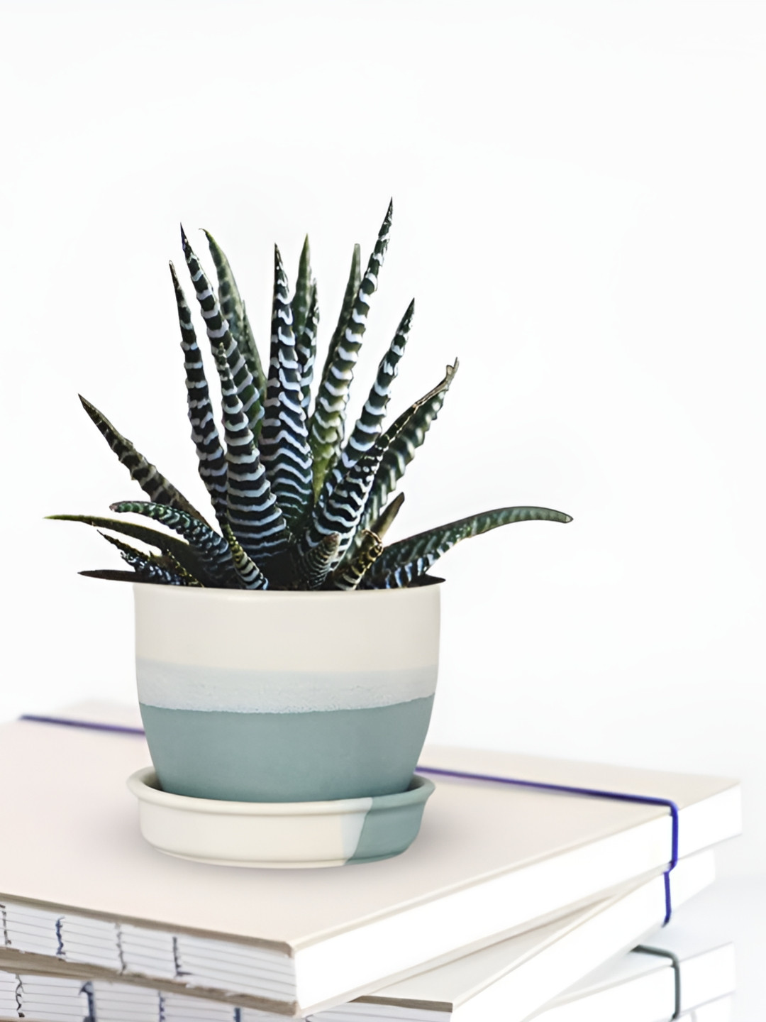LASAKI Blue Ceramic Planter With Plate