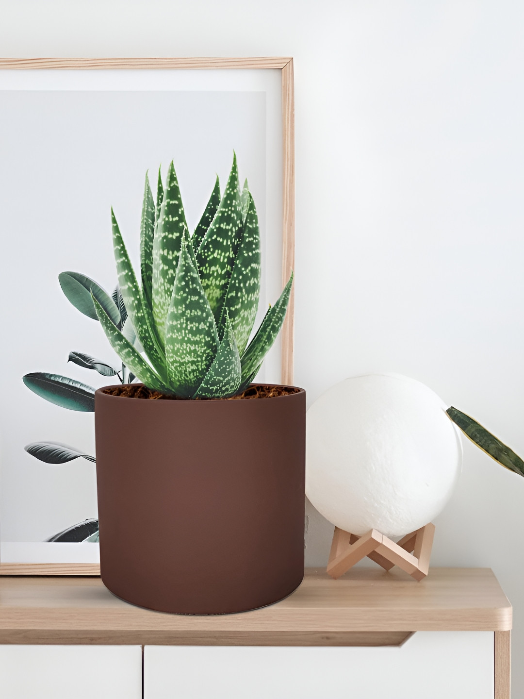 LASAKI Brown Ceramic Planters