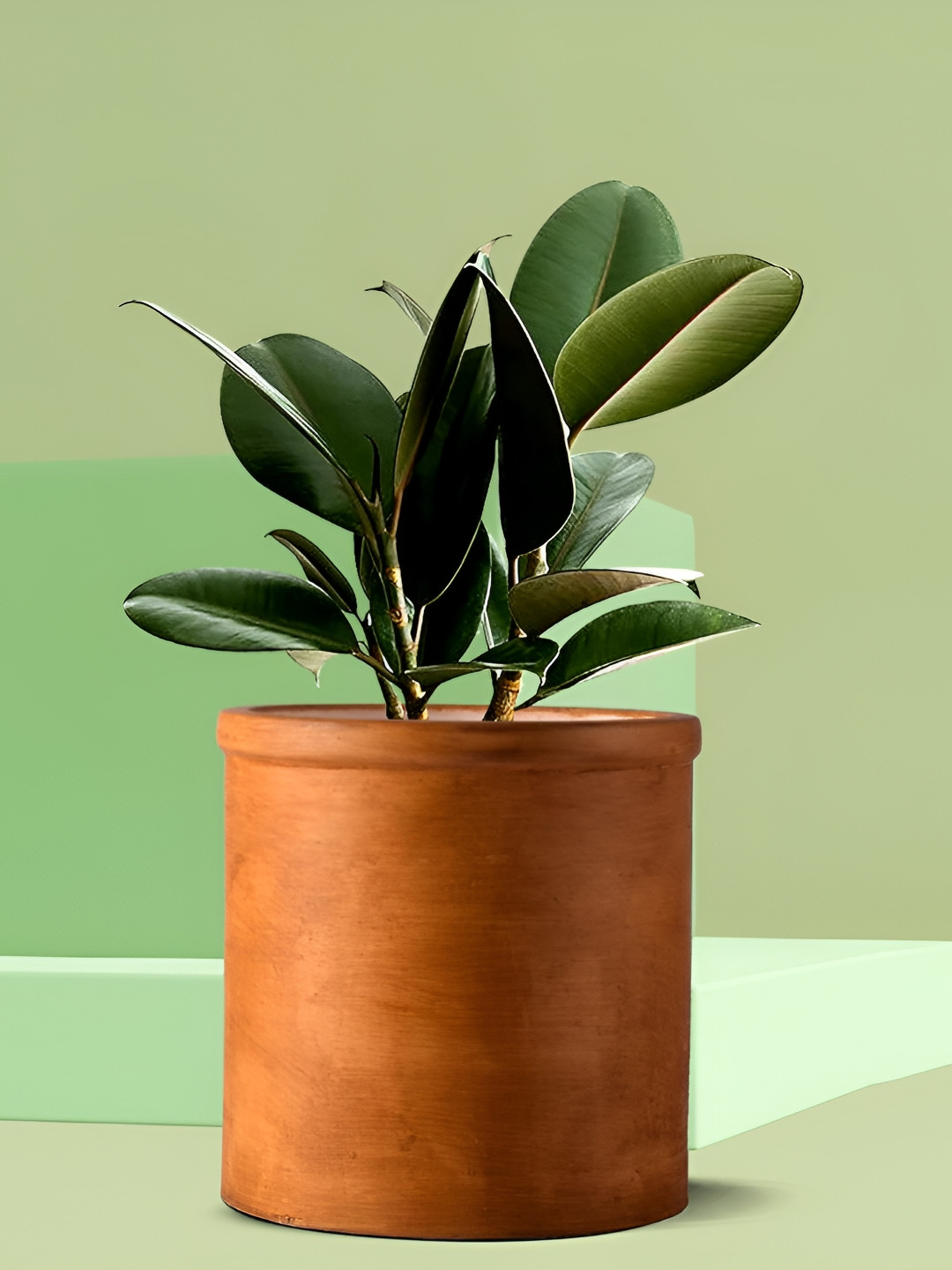 LASAKI Gloria Antique Brown Ceramic Planter