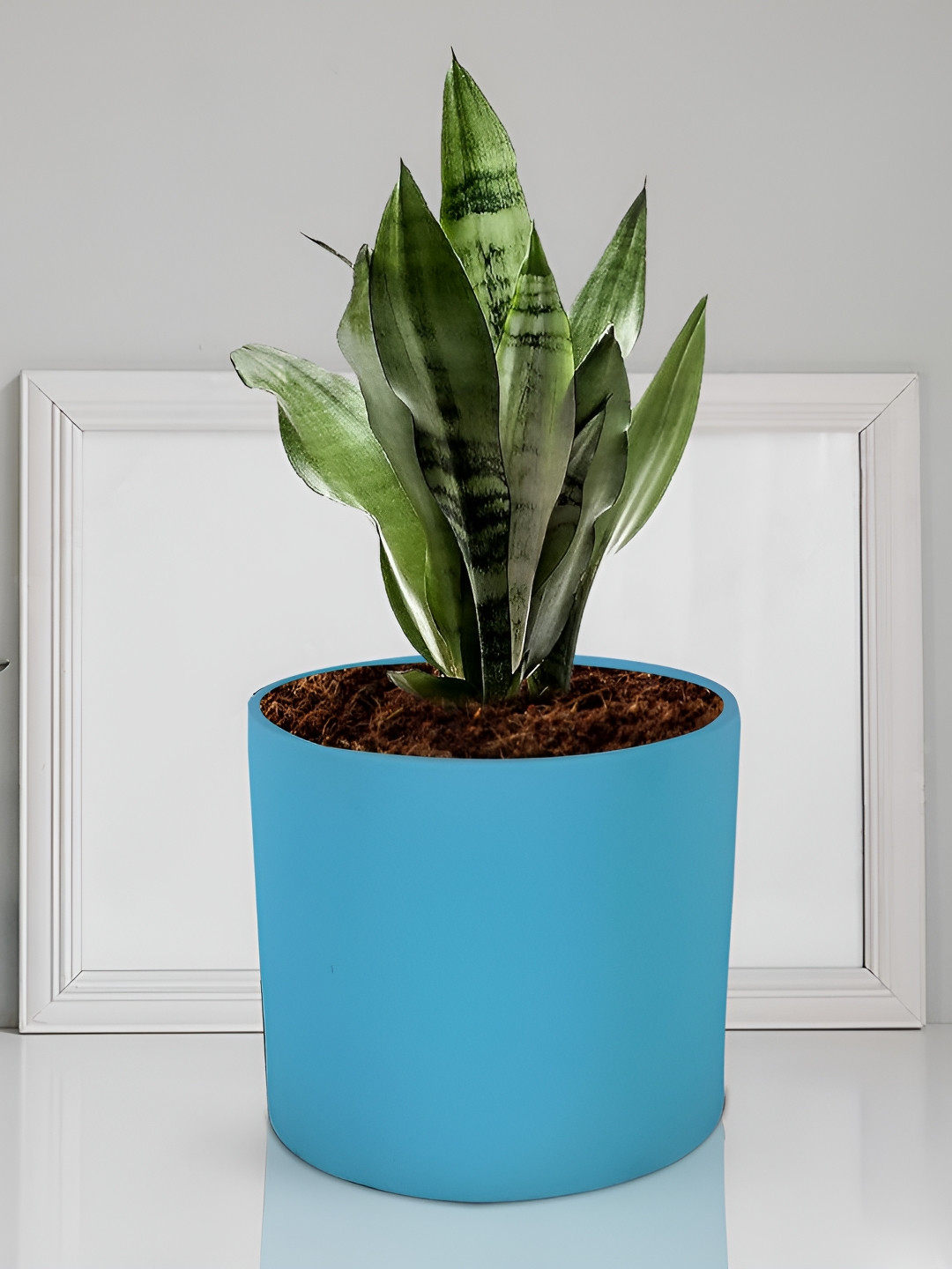 LASAKI Sara Blue Ceramic Planter
