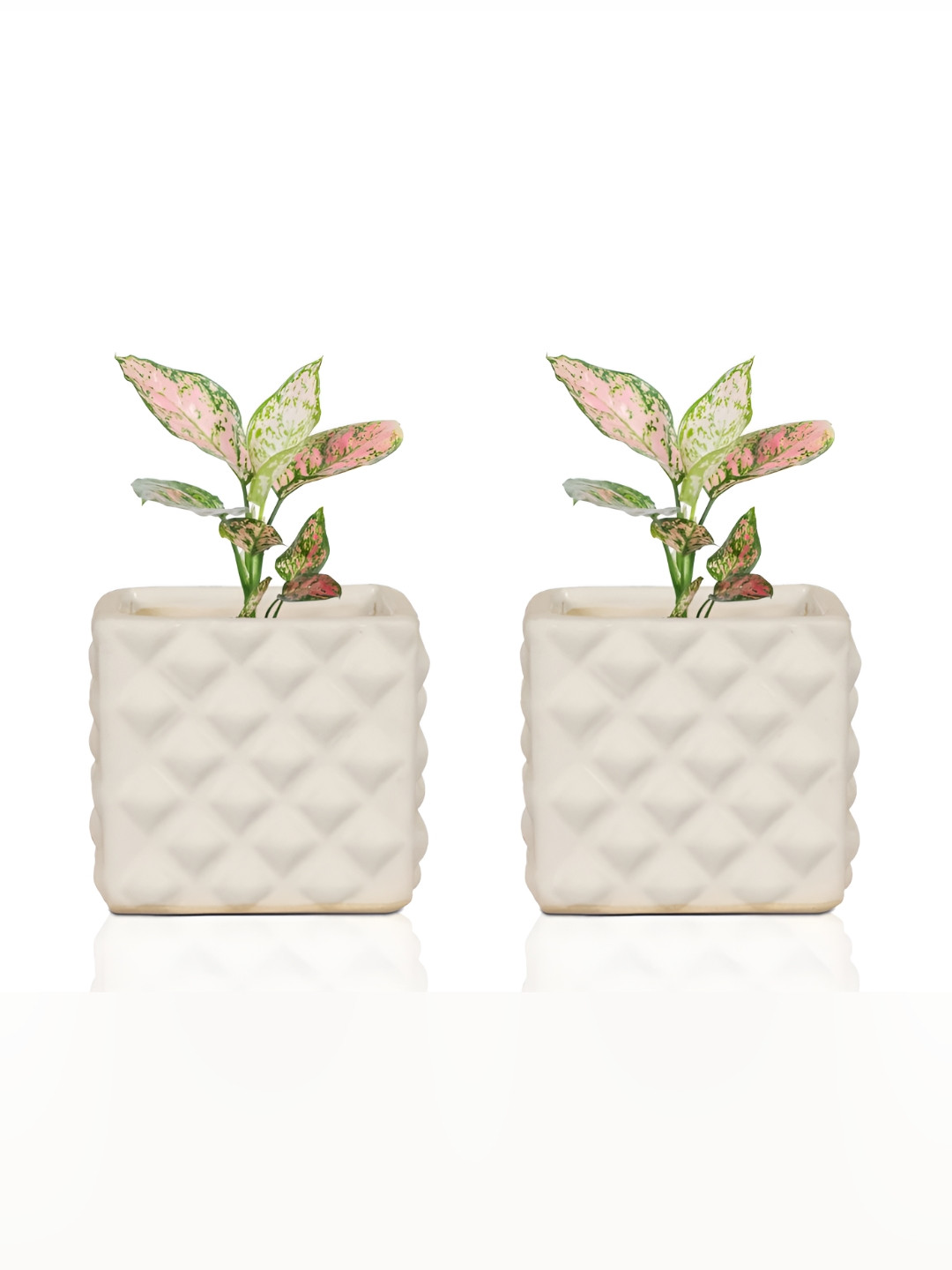 LASAKI Alpha White 2 Pieces Textured Ceramic Planters