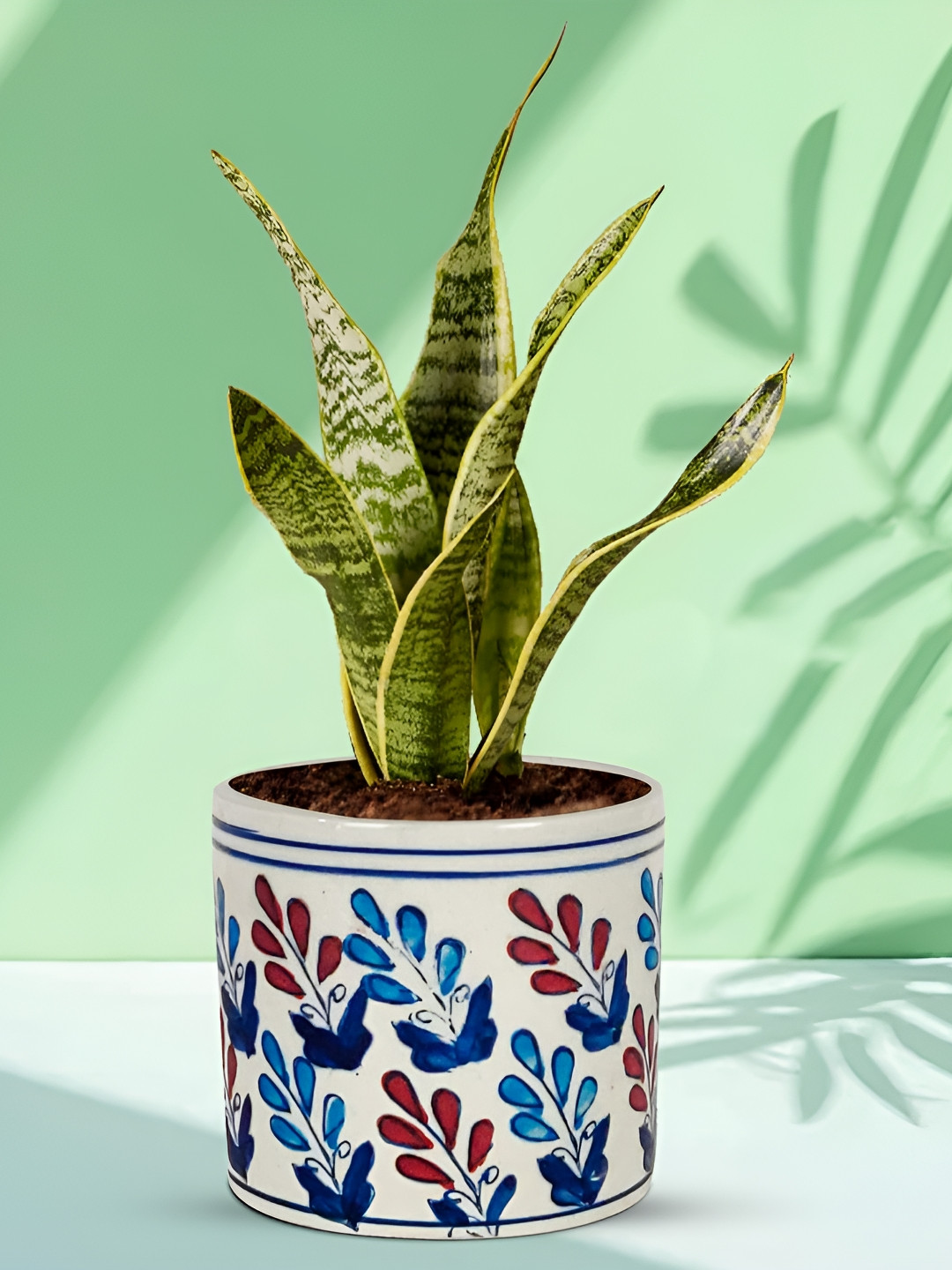 LASAKI Assorted Ceramic Planter