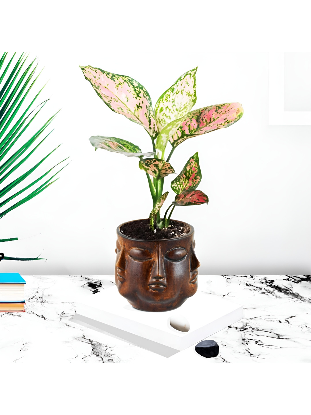 LASAKI Brown Textured Ceramic Planter