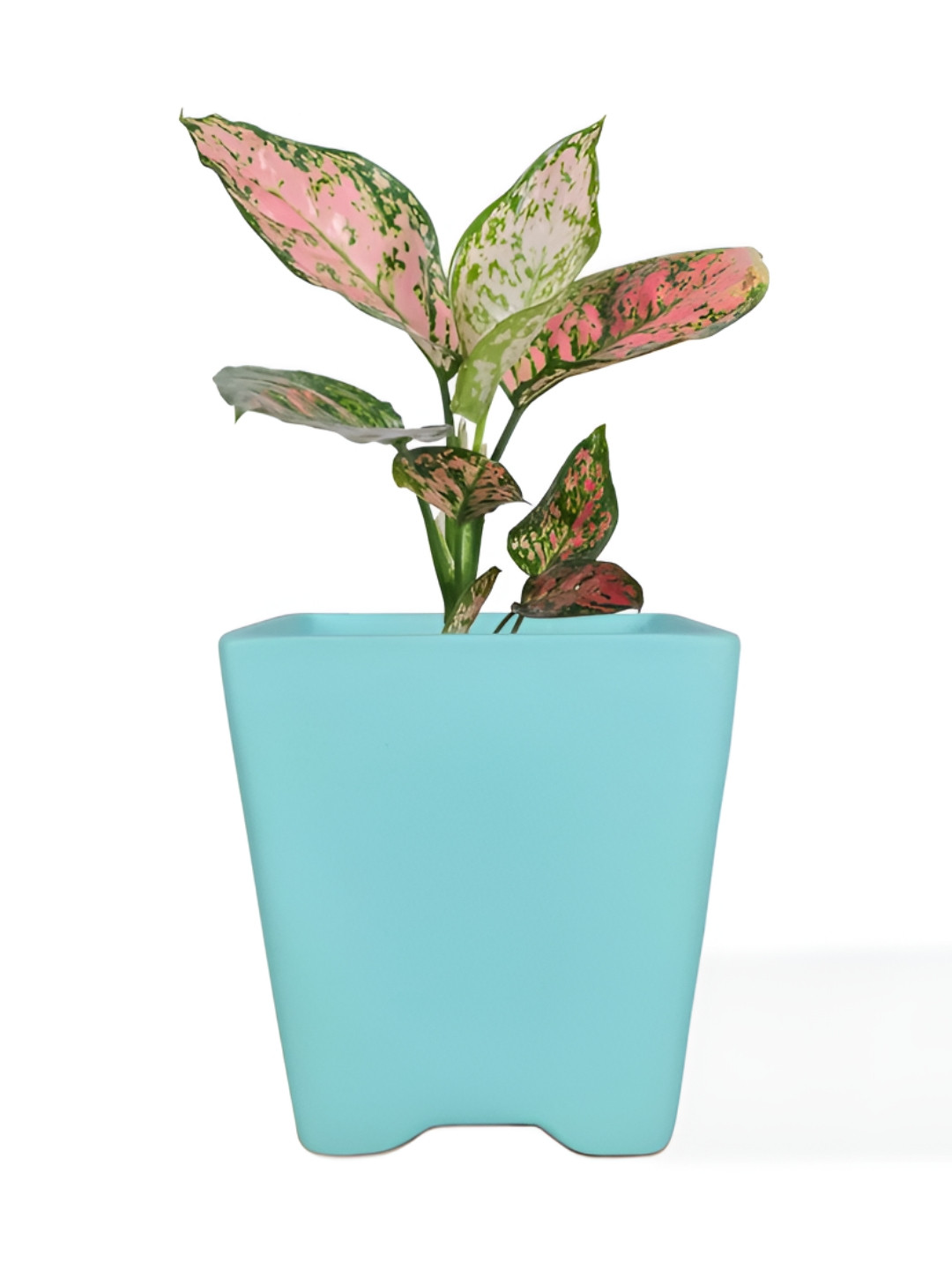 LASAKI Blue Ceramic Planter