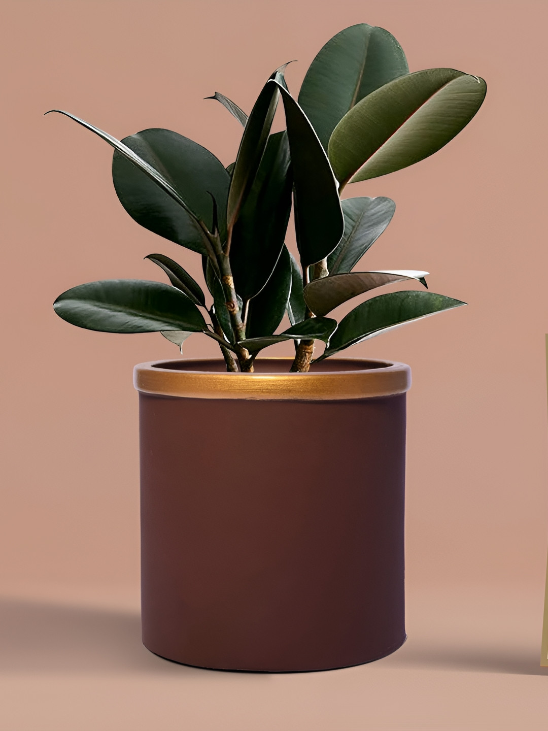 LASAKI Gloria Truffle Copper Toned Ceramic Planter