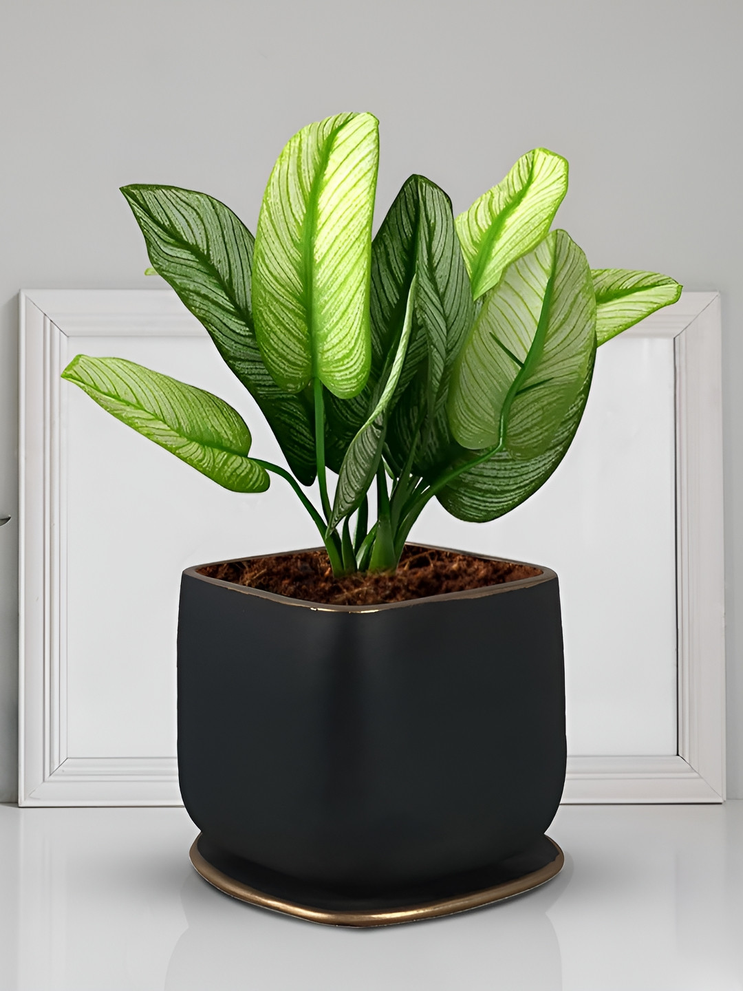 LASAKI Pearl Black & Gold-Toned Ceramic Planter