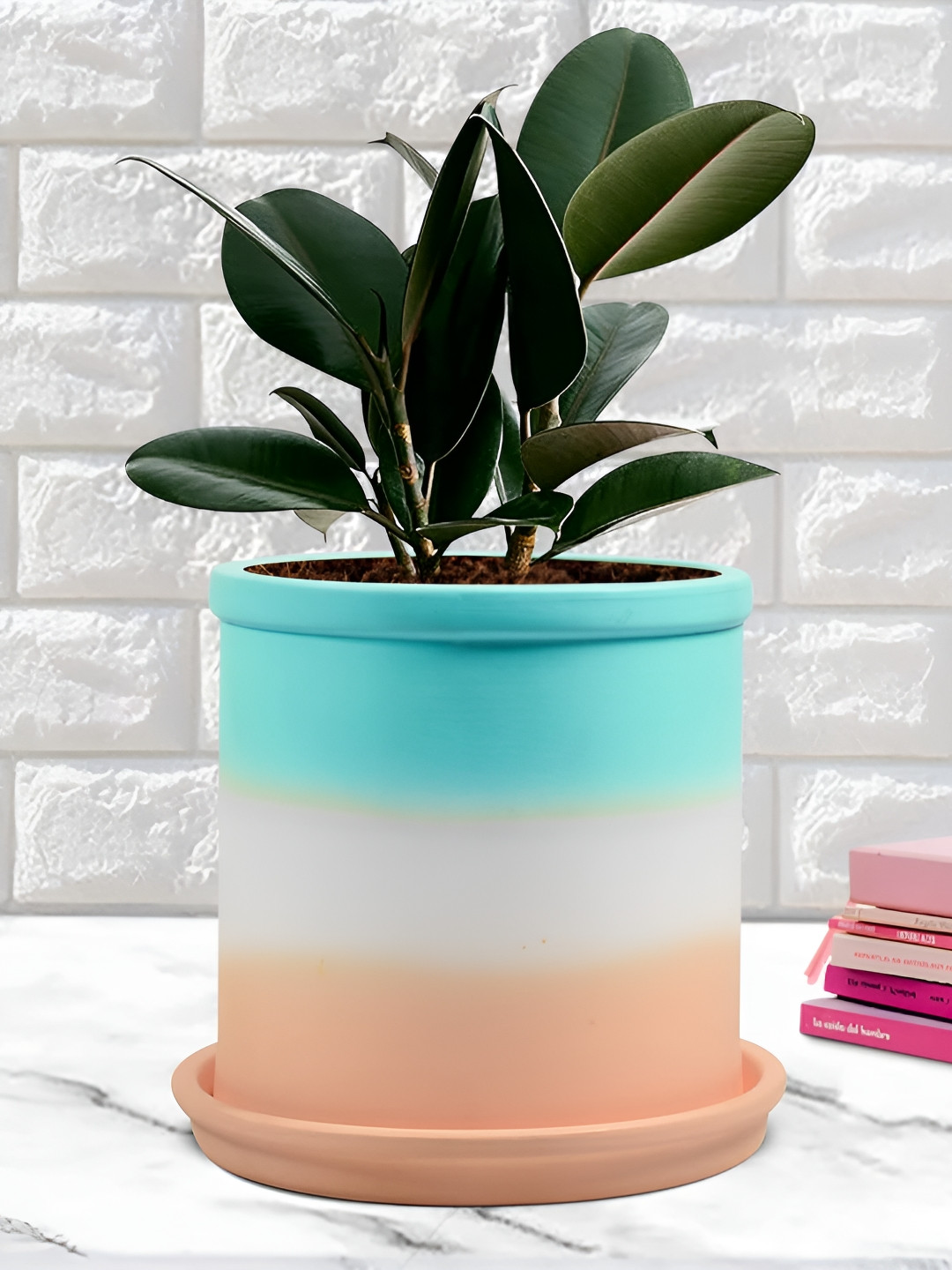LASAKI Blue Pink Colorblocked Ceramic Planter With Tray