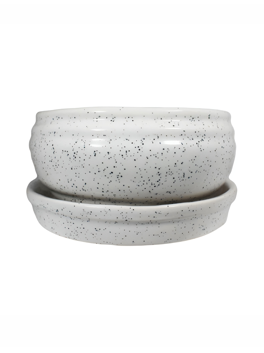 LASAKI White Textured Ceramic Planter With Plate