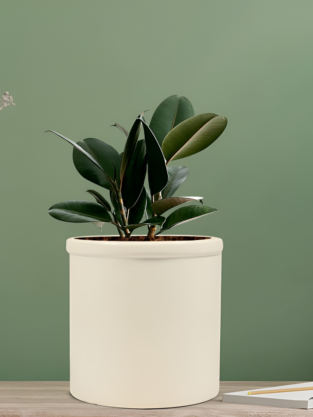 LASAKI White Ceramic Planter