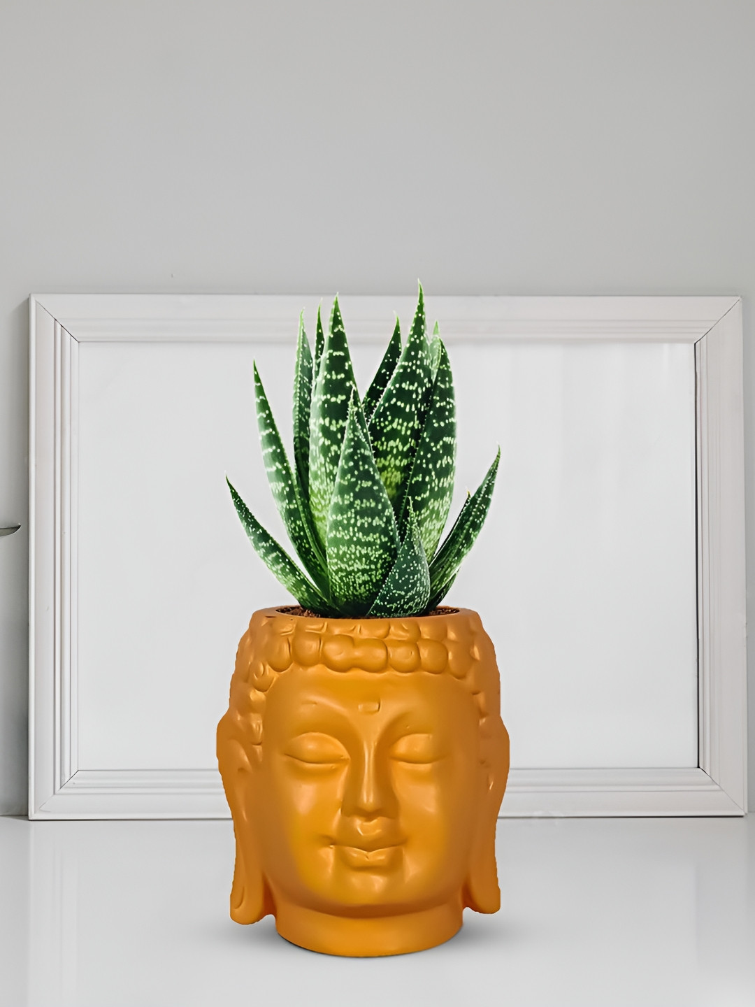 LASAKI Orange Buddha Textured Ceramic Planter