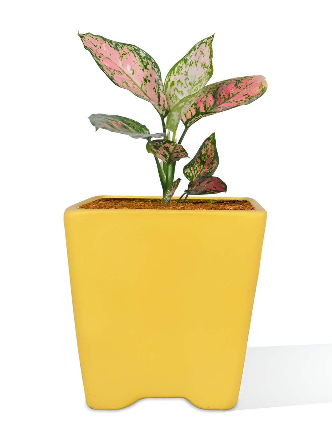 LASAKI Yellow Ceramic Planter