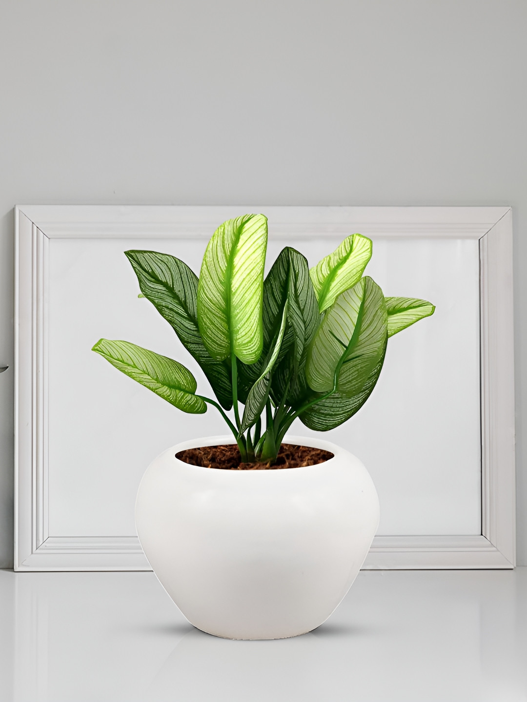 LASAKI Cloud Apple White Ceramic Planter