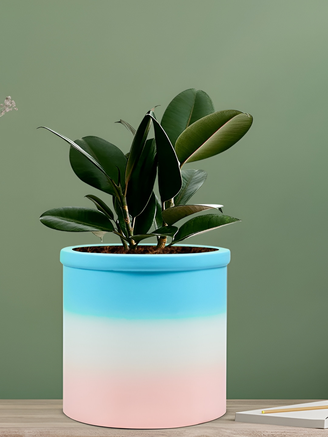 LASAKI Gloria Blue & Pink Colorblocked Ceramic Planter