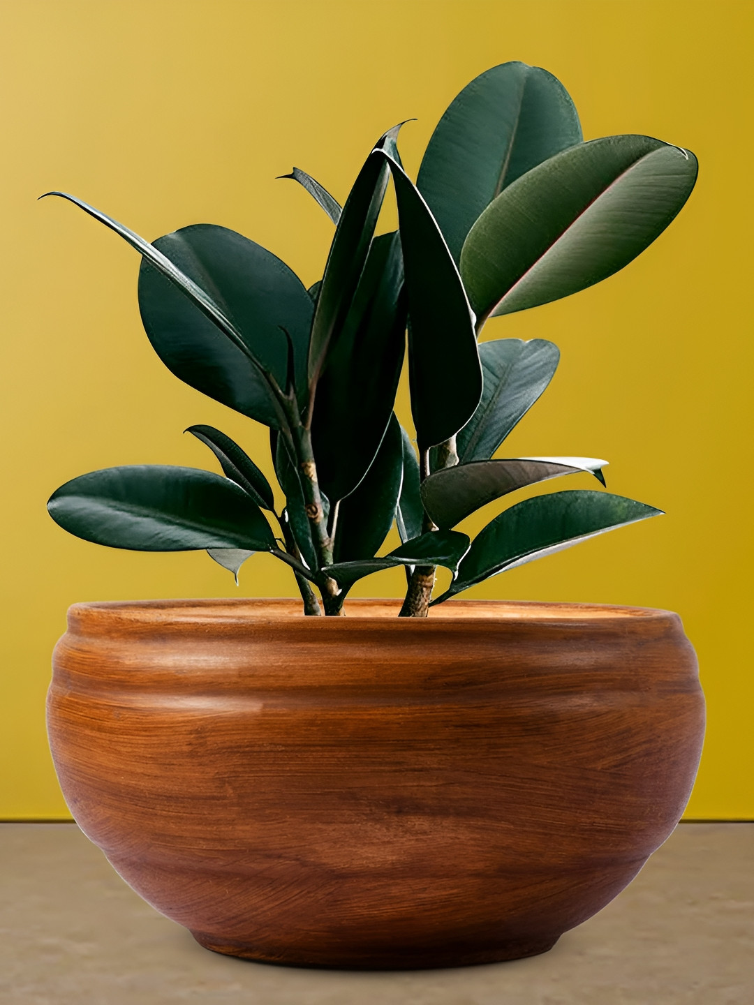 LASAKI Brown Bowl Shape Ceramic Planter