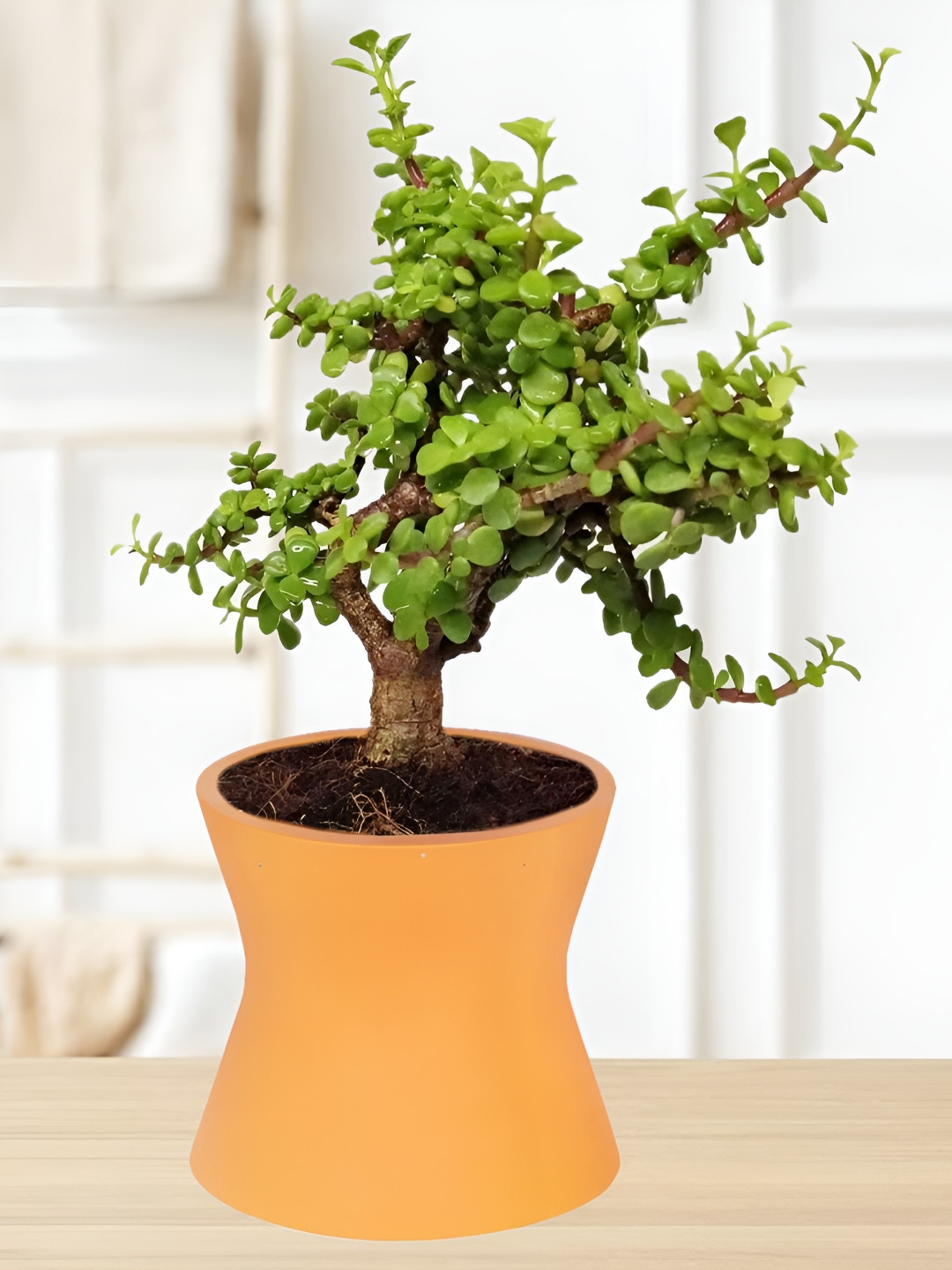 LASAKI Orange Textured Ceramic Planter