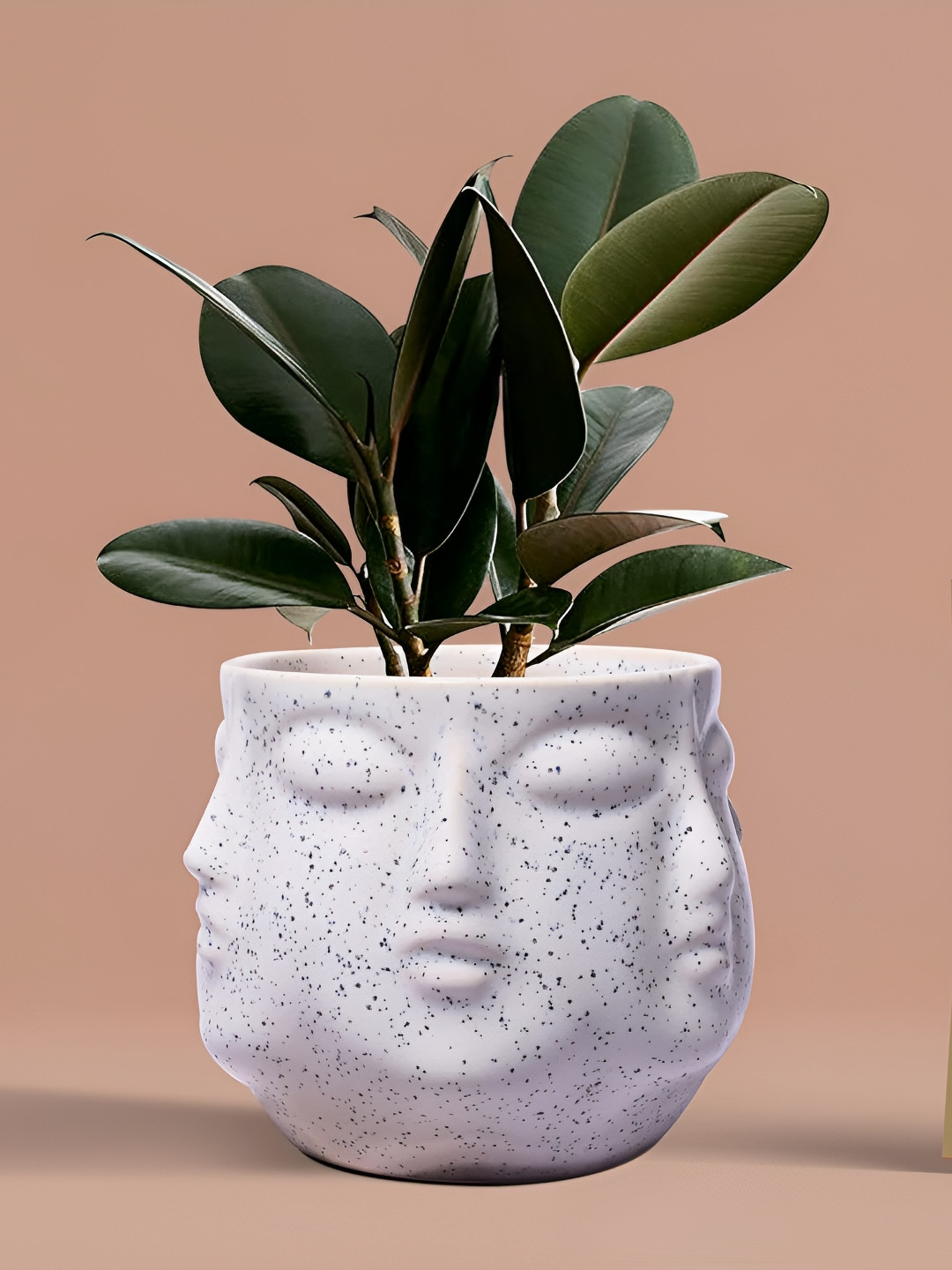 LASAKI White Vivan Textured Ceramic Planter
