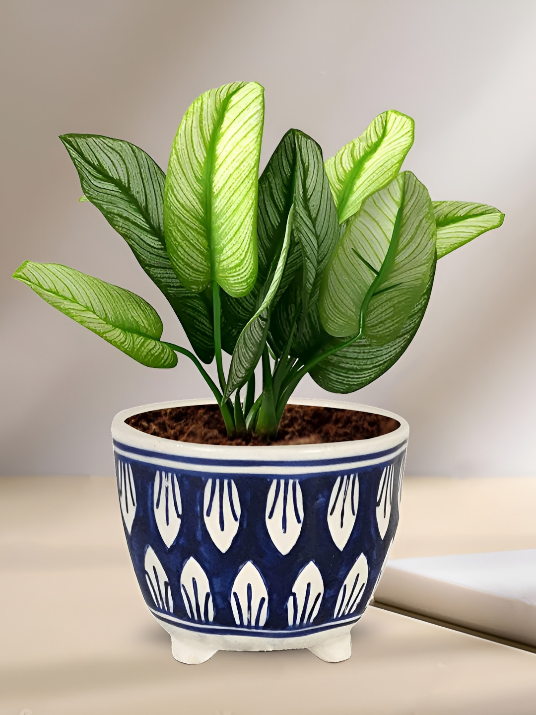 LASAKI Sharon Blue Textured Ceramic Planter