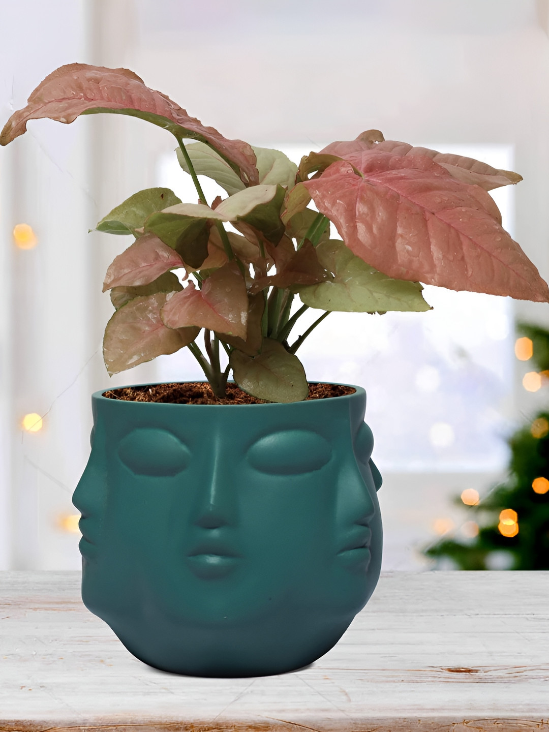 LASAKI Green Textured Vivan Deep Jungle Shape Ceramic Planters