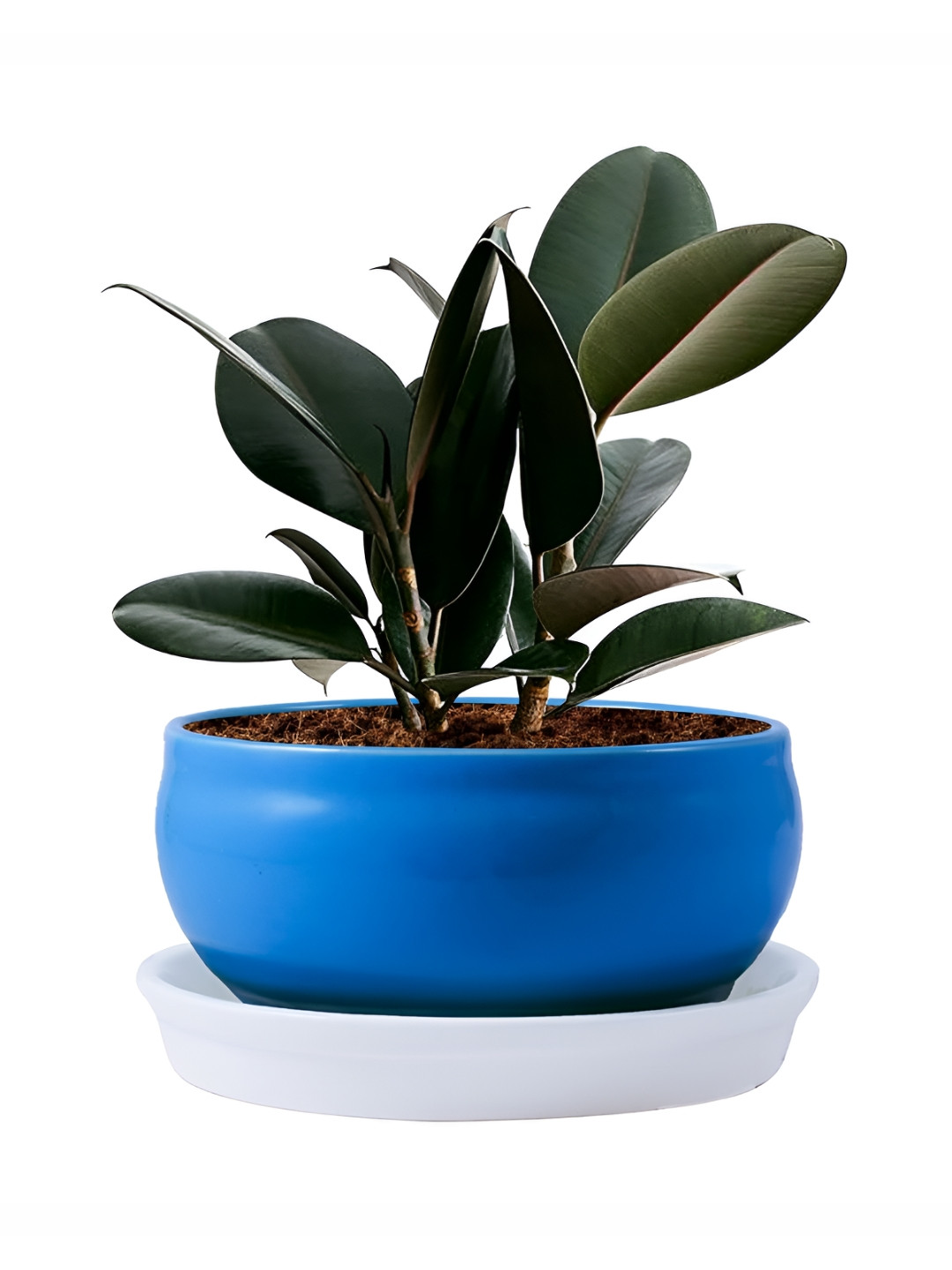 LASAKI Navy Blue 2 Pieces Bowl Shape Ceramic Planter With Tray