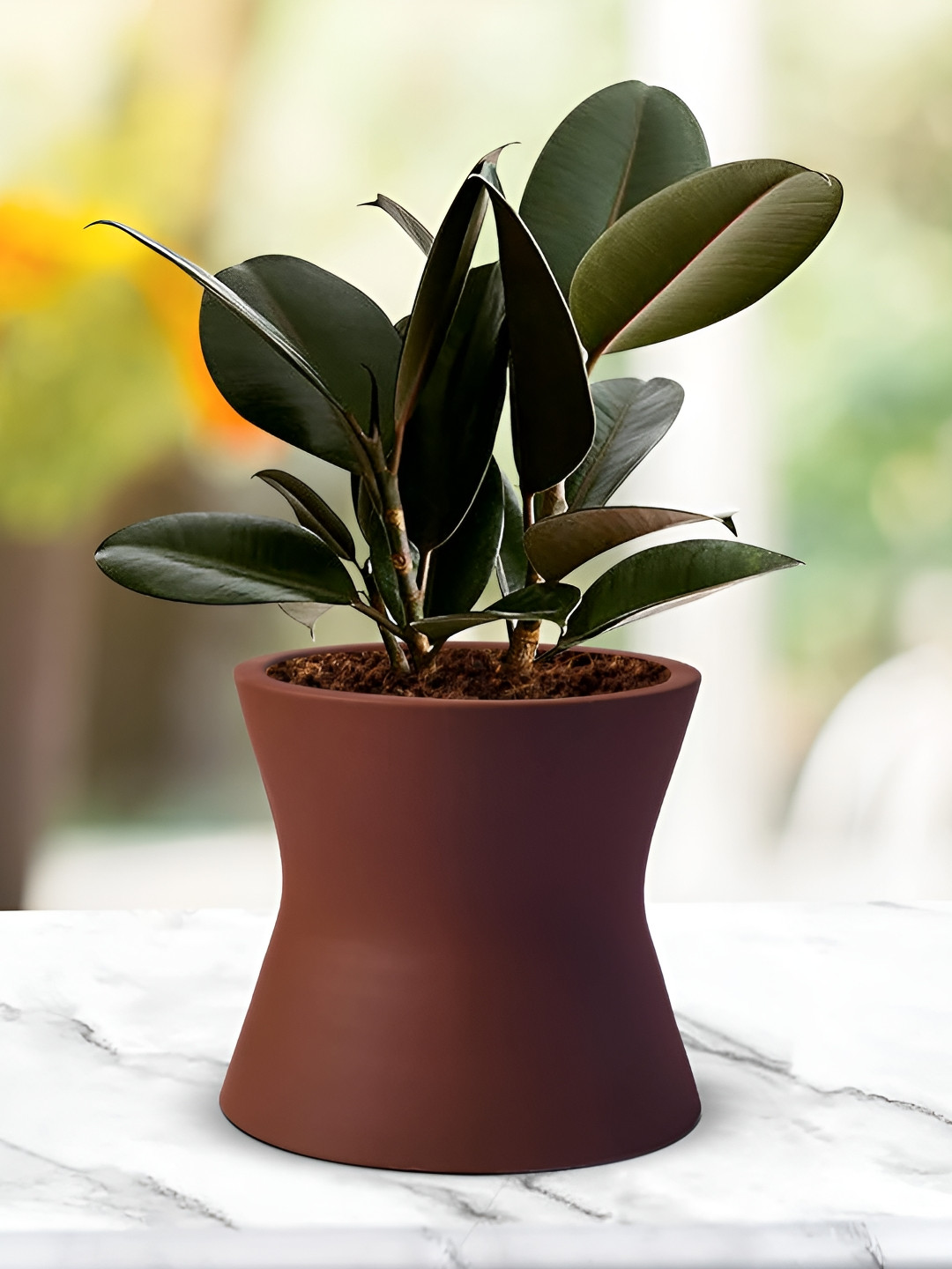 LASAKI Truffle Brown Ceramic Planter