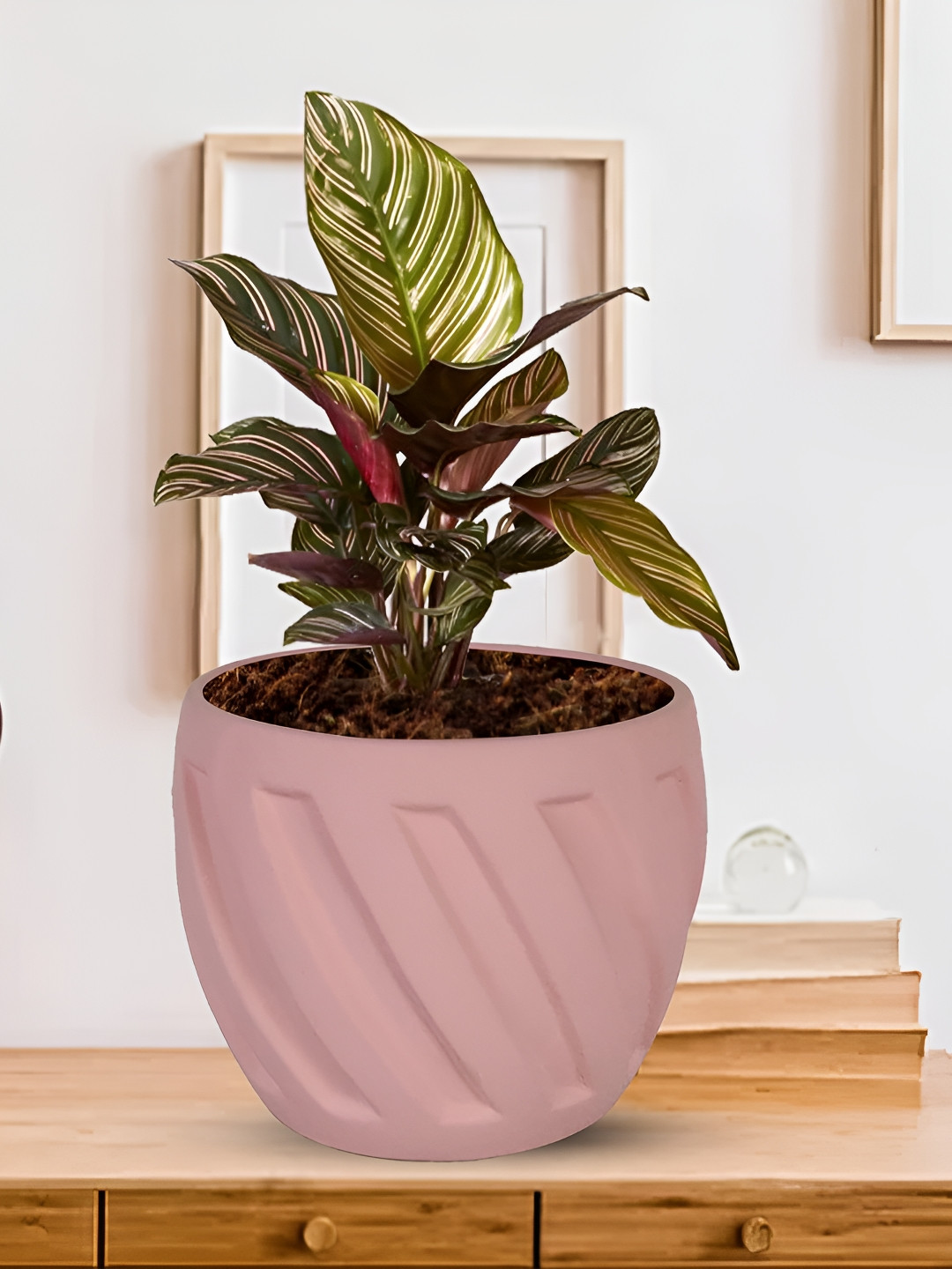 LASAKI Austin Pink Textured Ceramic Planter