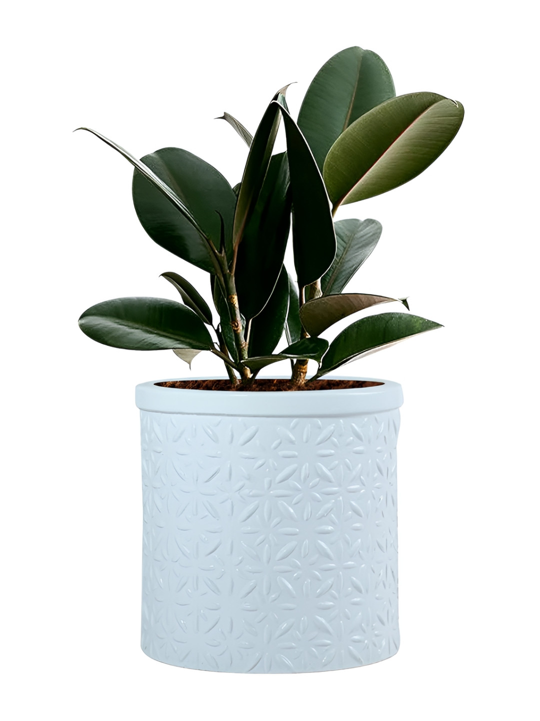 LASAKI Gloria White Textured Ceramic Planter