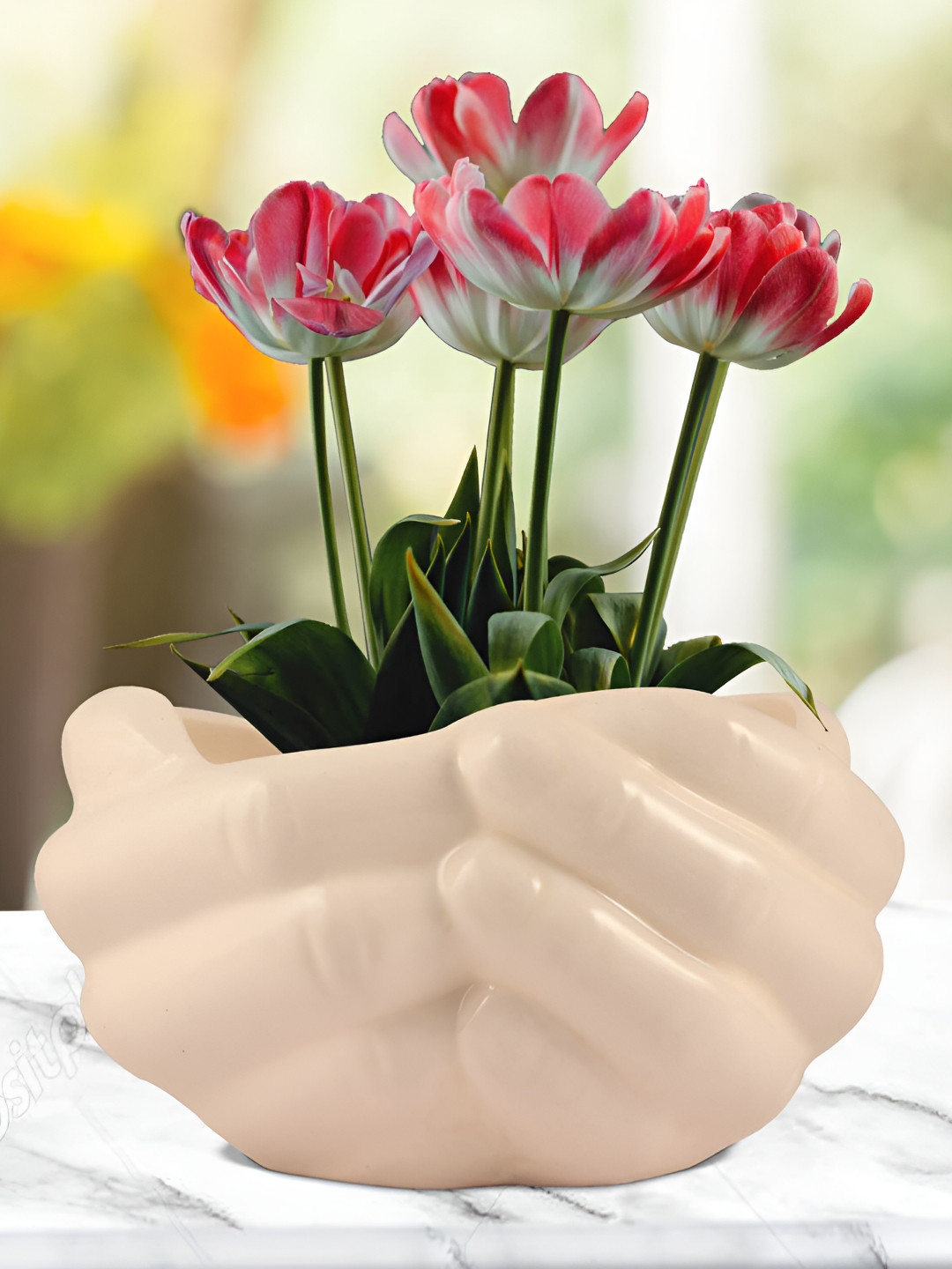 LASAKI Cream Textured Ceramic Planter With Holder