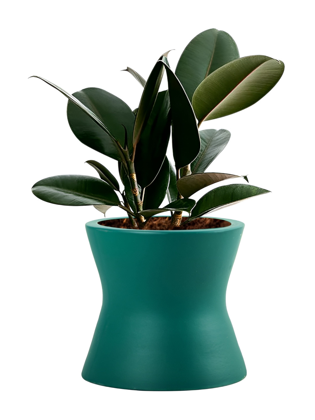 LASAKI Damru Deep Jungle Green Ceramic Planter