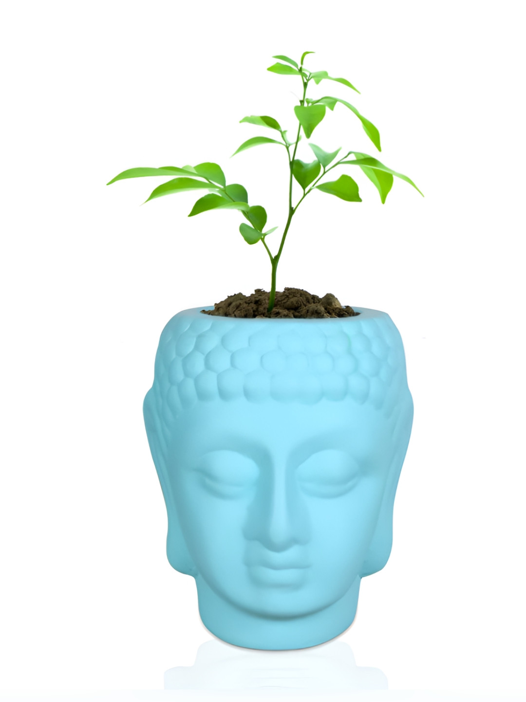 LASAKI Blue Textured Buddha  Shape Ceramic Planters