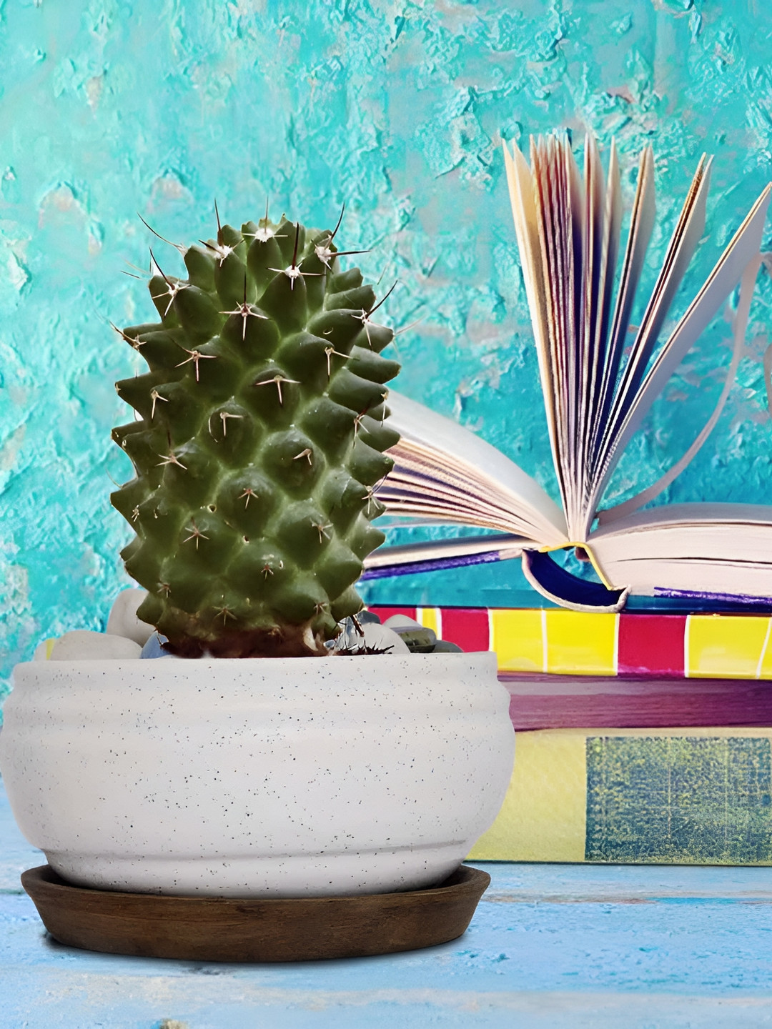 LASAKI White Textured Ceramic Planter With Tray Plate