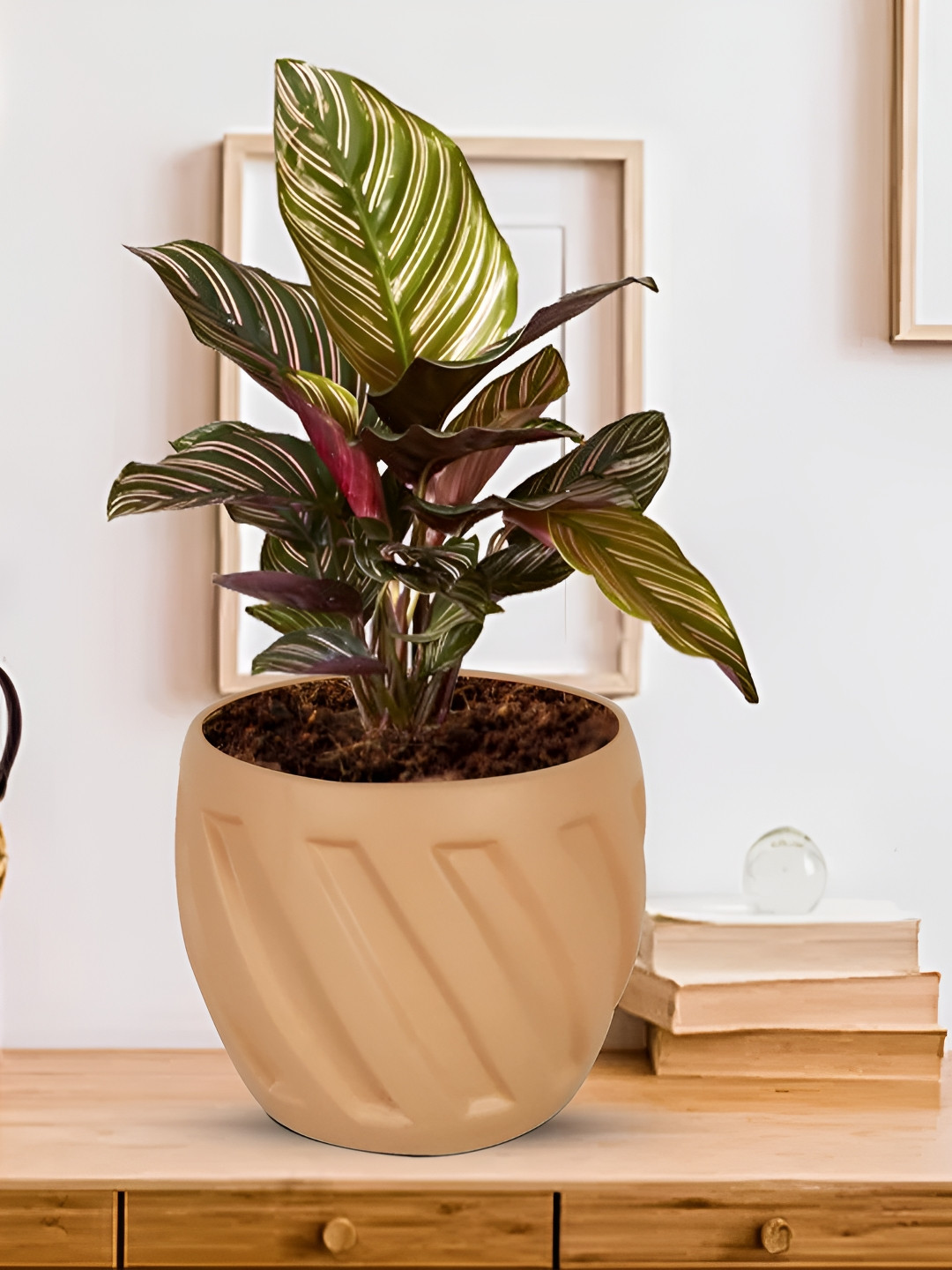 LASAKI Austin Bronze Textured Ceramic Planter