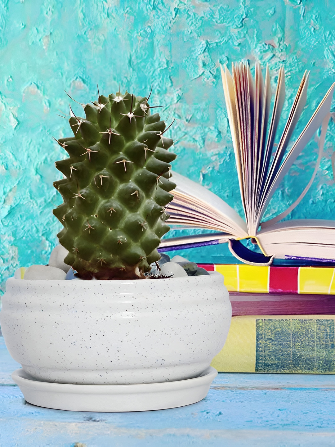 LASAKI White Textured Ceramic Planter With Tray Plate