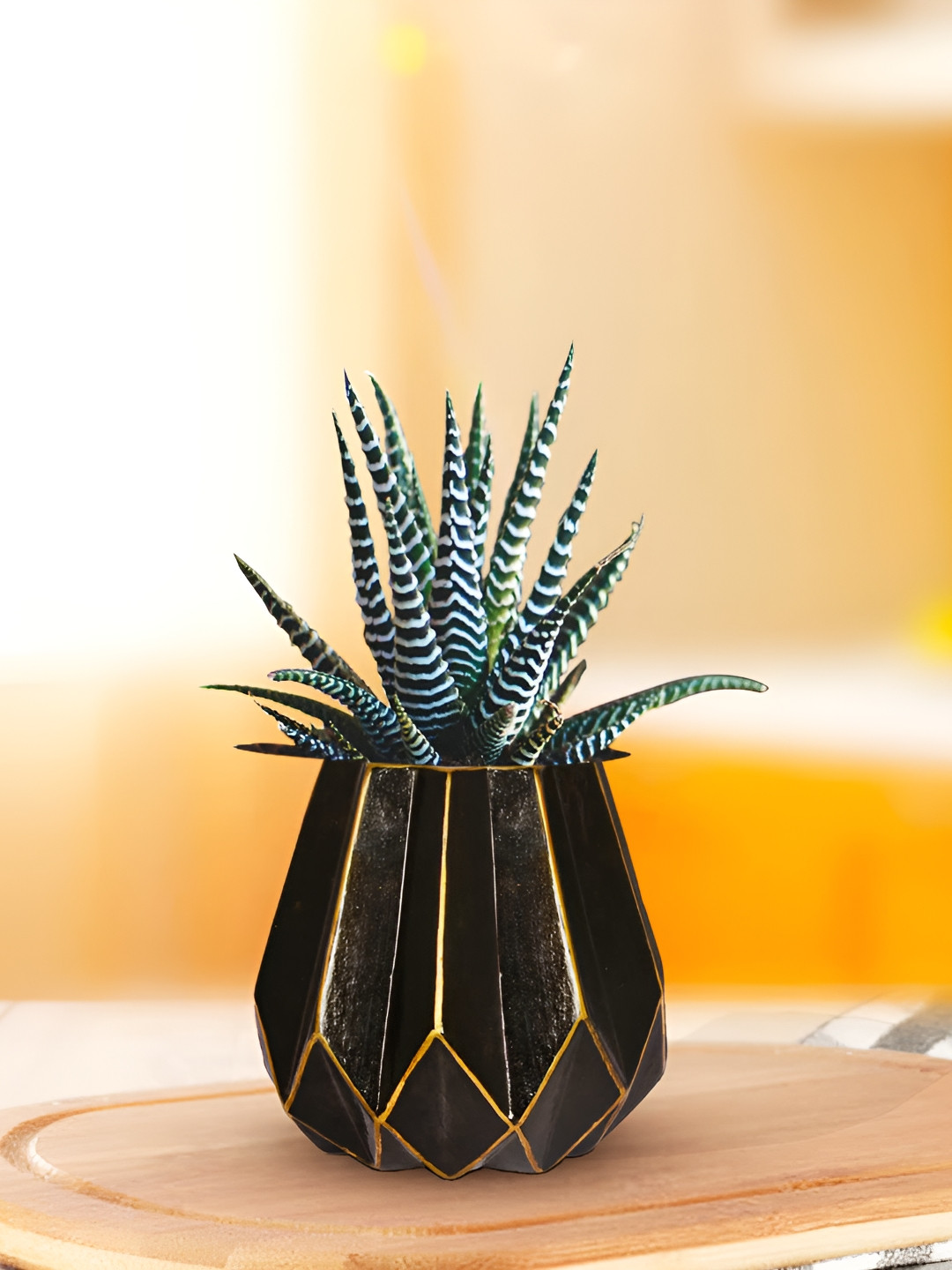 LASAKI  Izzy Black Textured Ceramic Planter With Holder