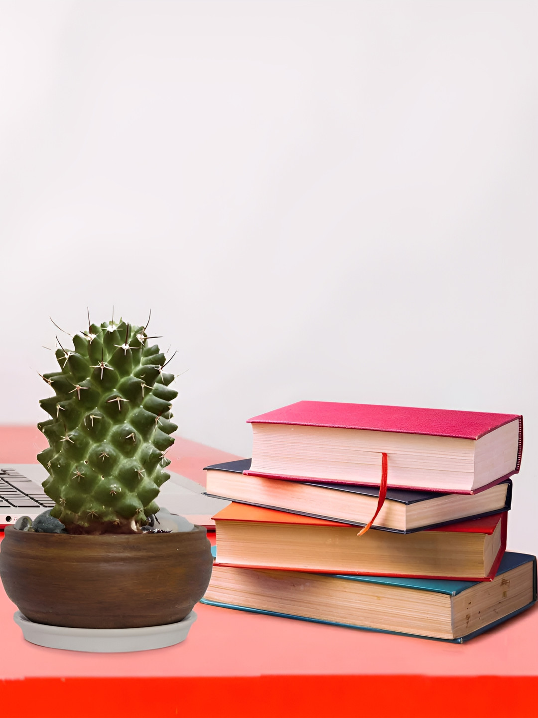 LASAKI Brown Textured Ceramic Planter With Tray Plate